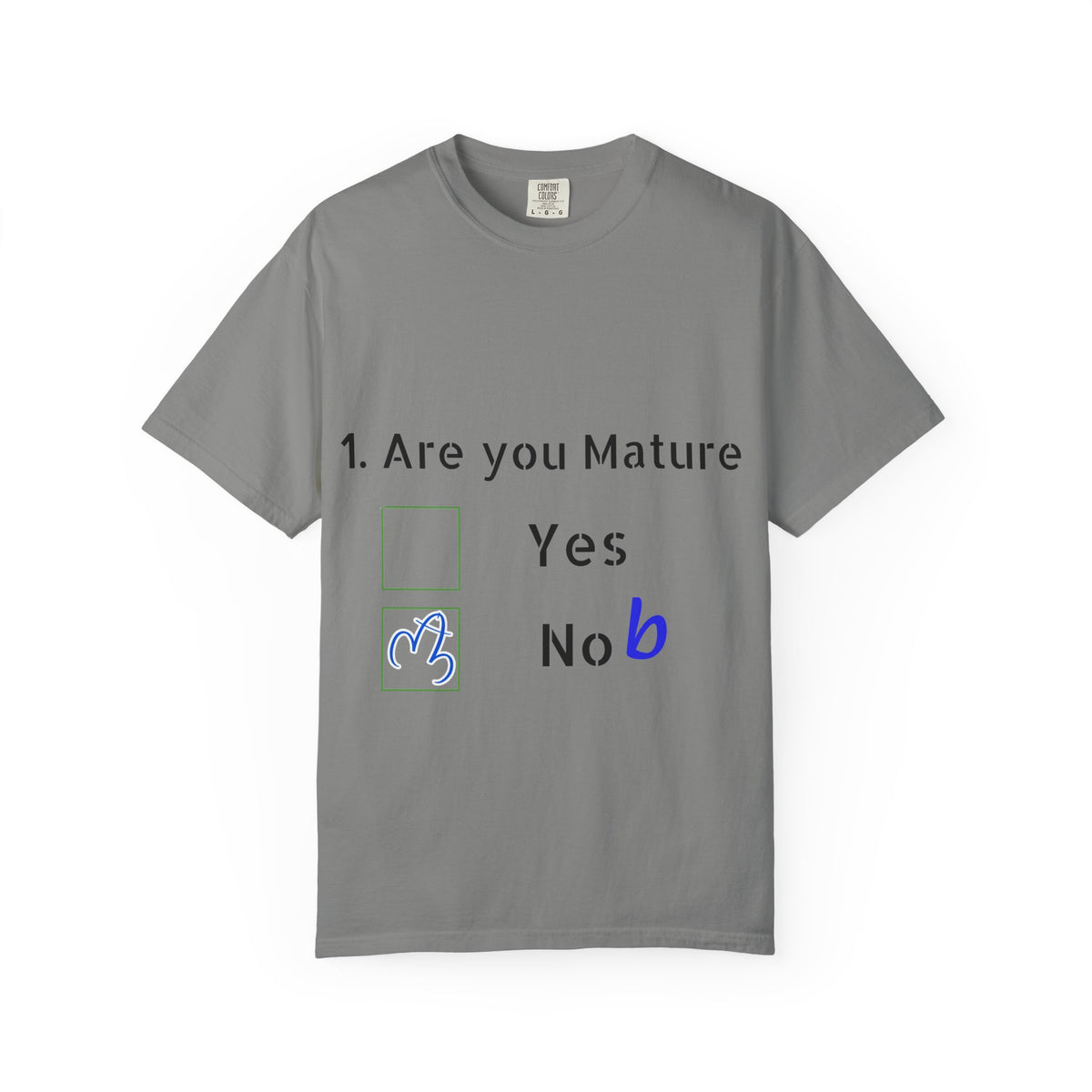 Adult T-Shirt — Funny "Are You Mature?" Checkbox Graphic Tee