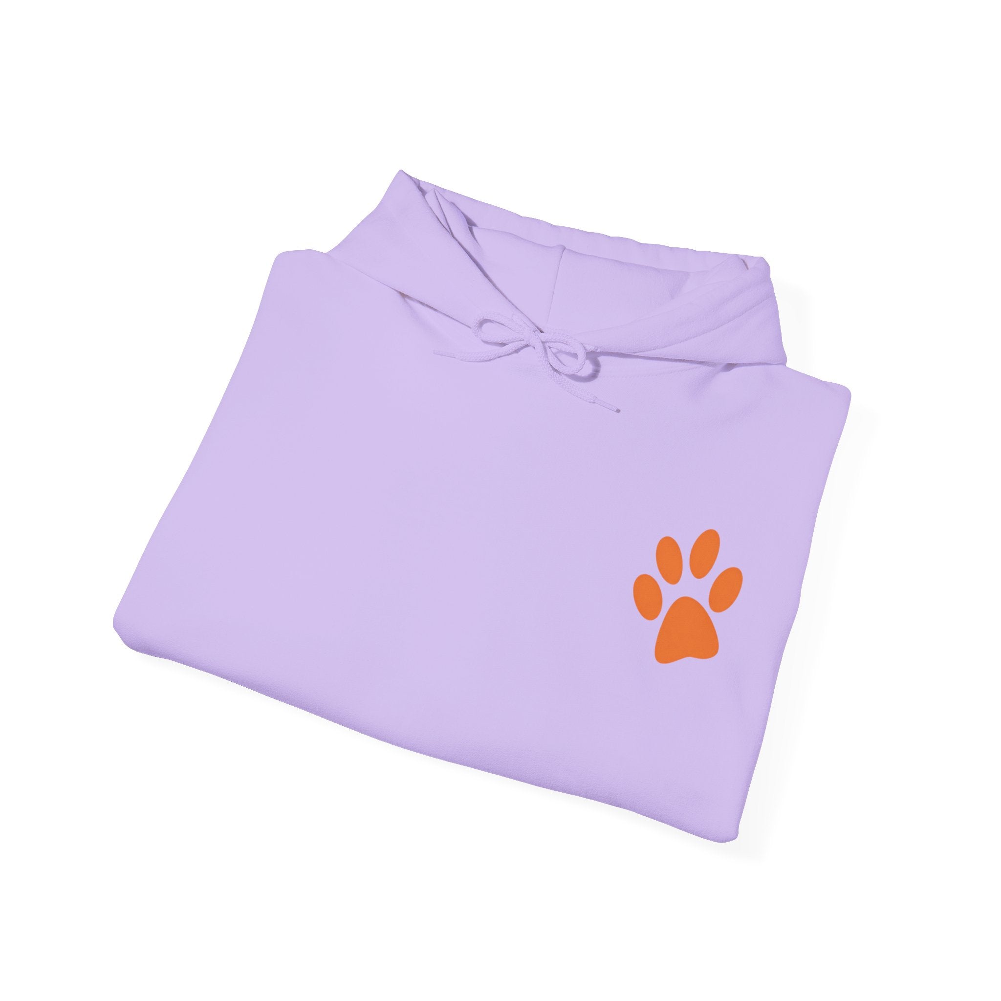 Sleeping Dog Illustration Adult Hoodie | "It's a Dog's Life" Graphic Hoodie