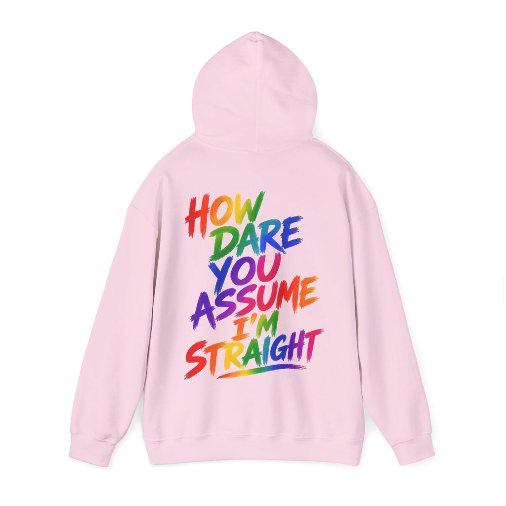 How Dare You Assume I'm Straight Adult Hoodie — Rainbow Pride Statement Sweatshirt