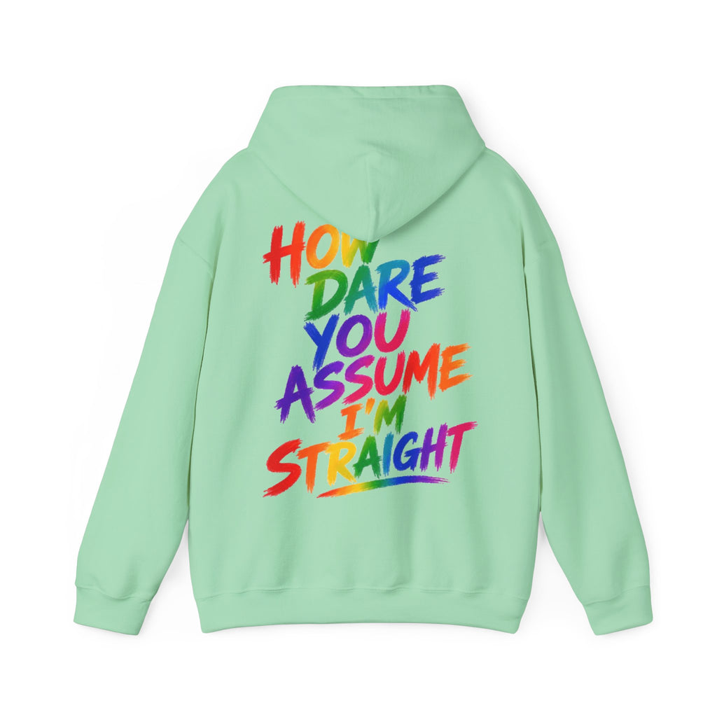 How Dare You Assume I'm Straight Adult Hoodie — Rainbow Pride Statement Sweatshirt