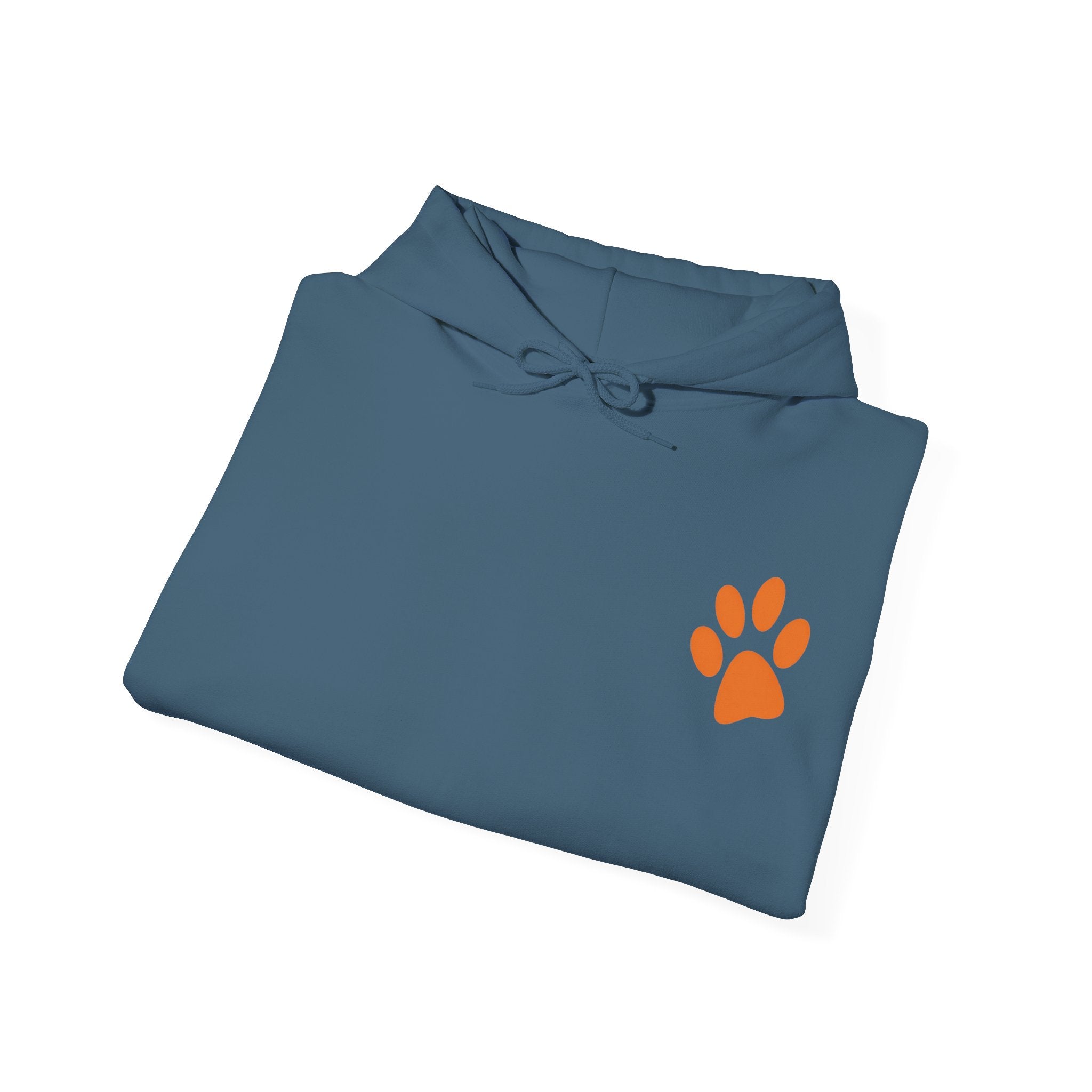 Sleeping Dog Illustration Adult Hoodie | "It's a Dog's Life" Graphic Hoodie