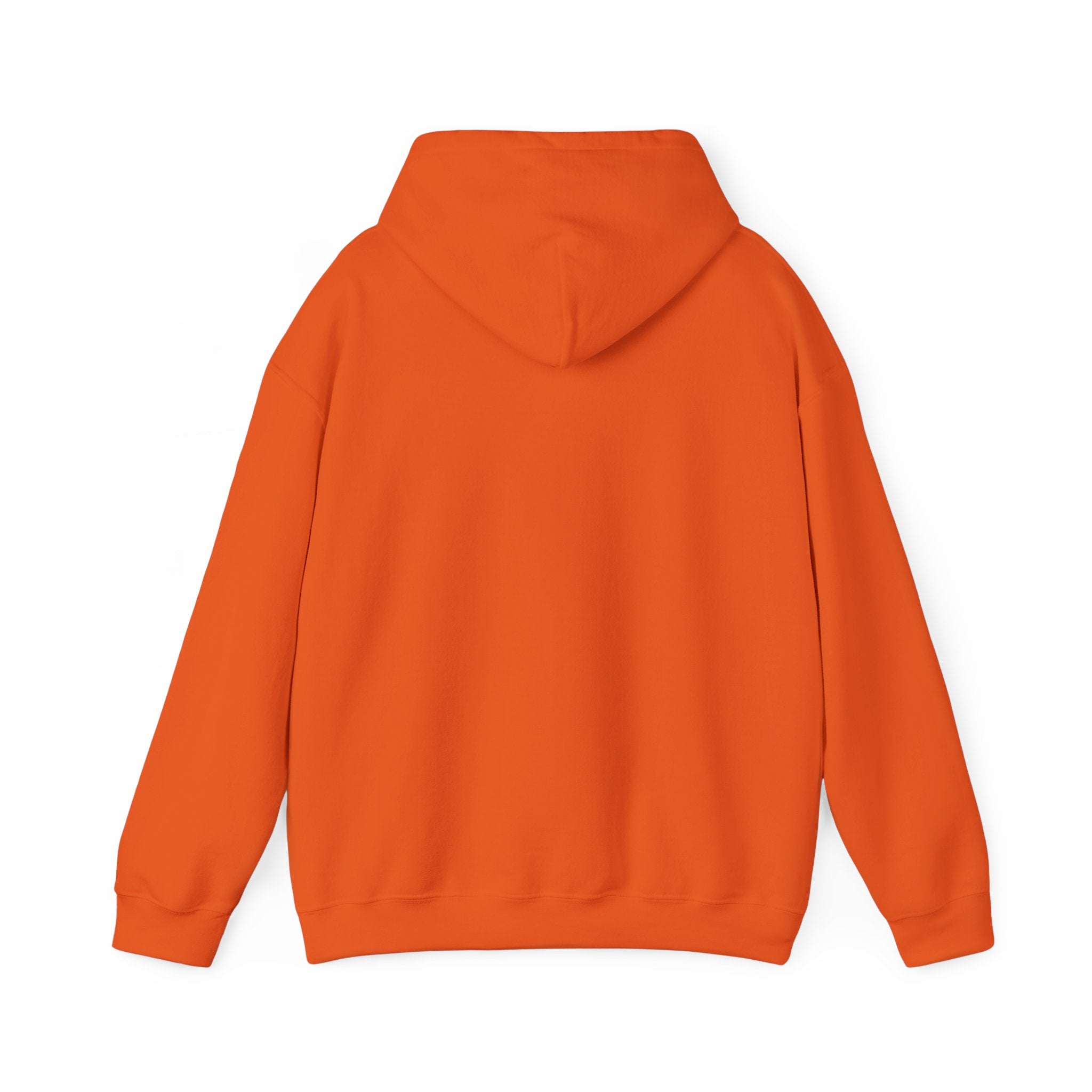 Adult Hoodie - "Don't Drink and Drive" Awareness Pullover