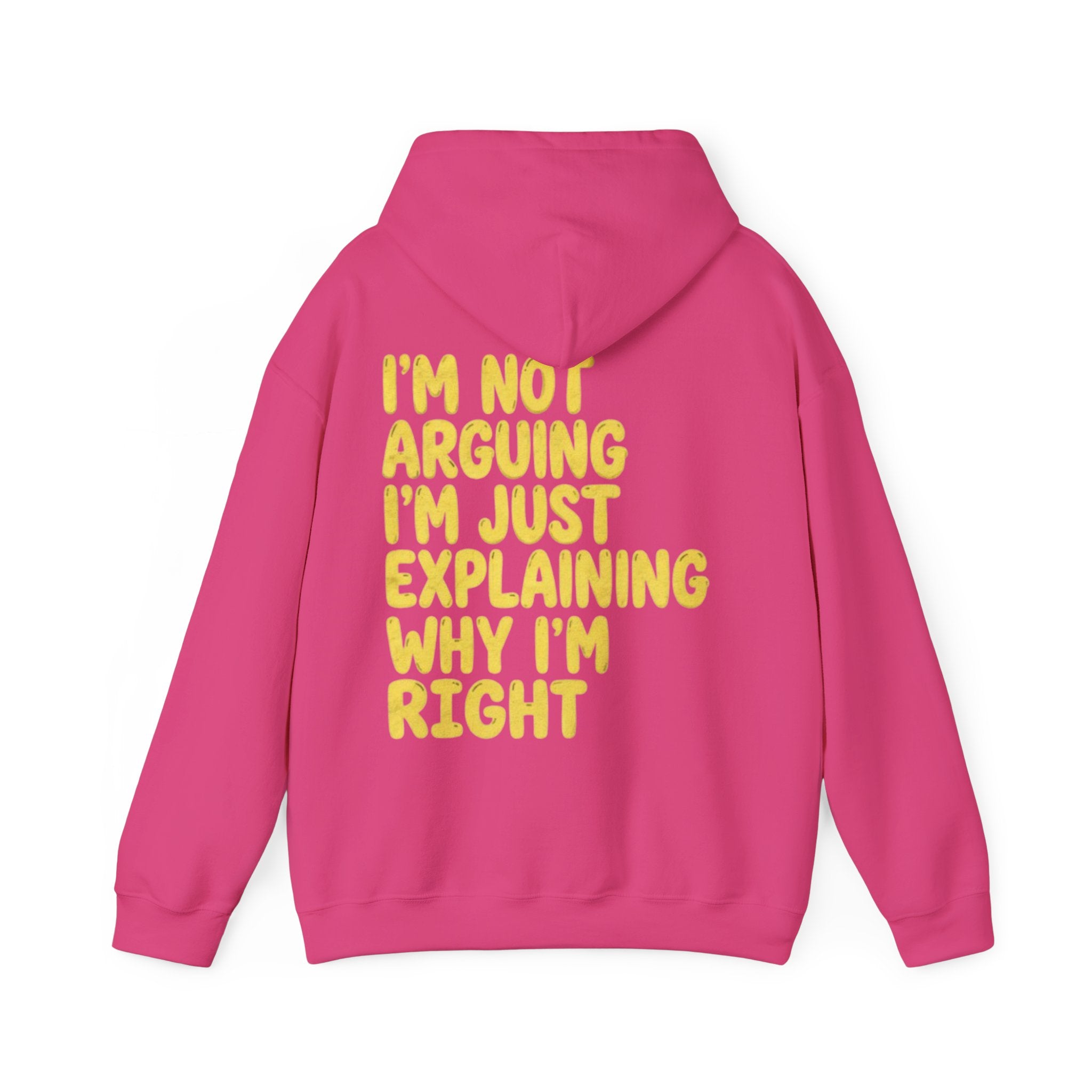 I'm Not Arguing Adult Hoodie — Funny "I'm Just Explaining Why I'm Right" Graphic Hoodie