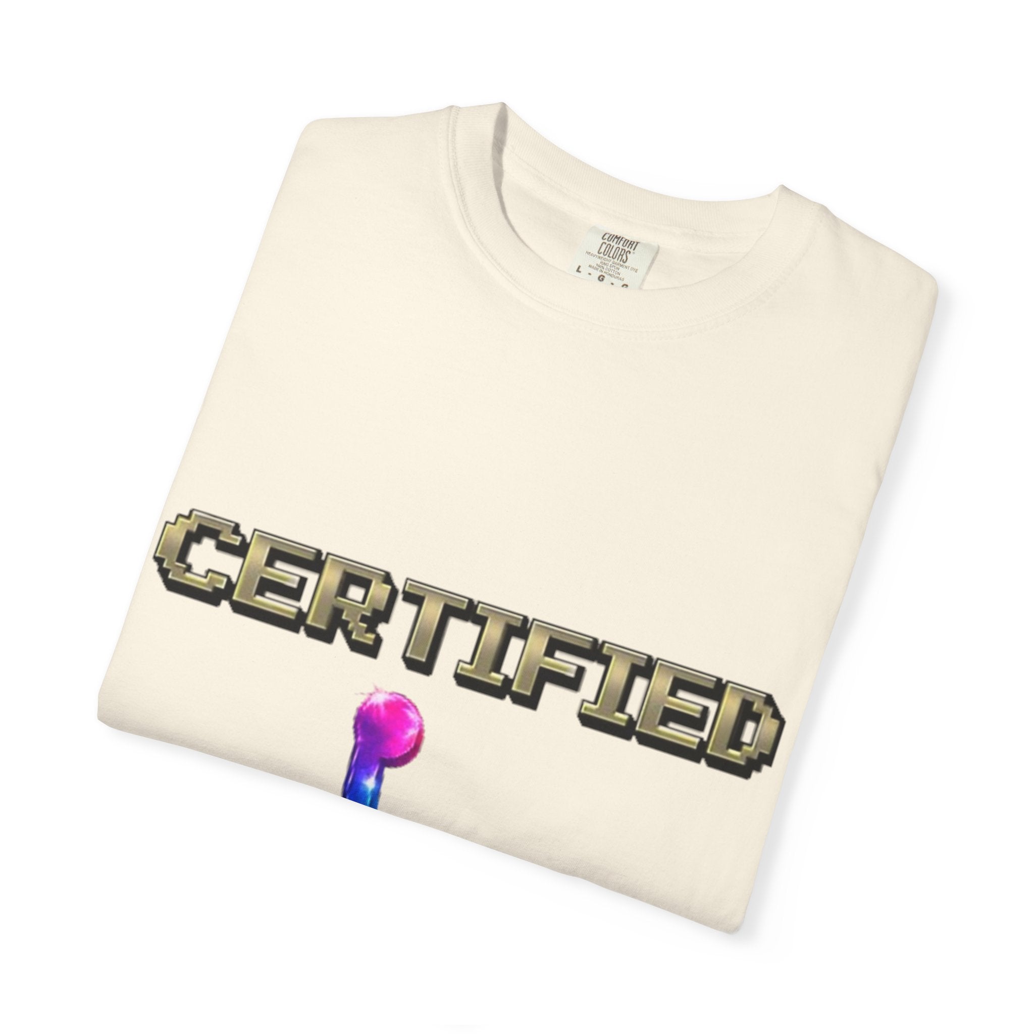 Certified Stunt Man T-Shirt — Rainbow Wheelchair Adult Tee