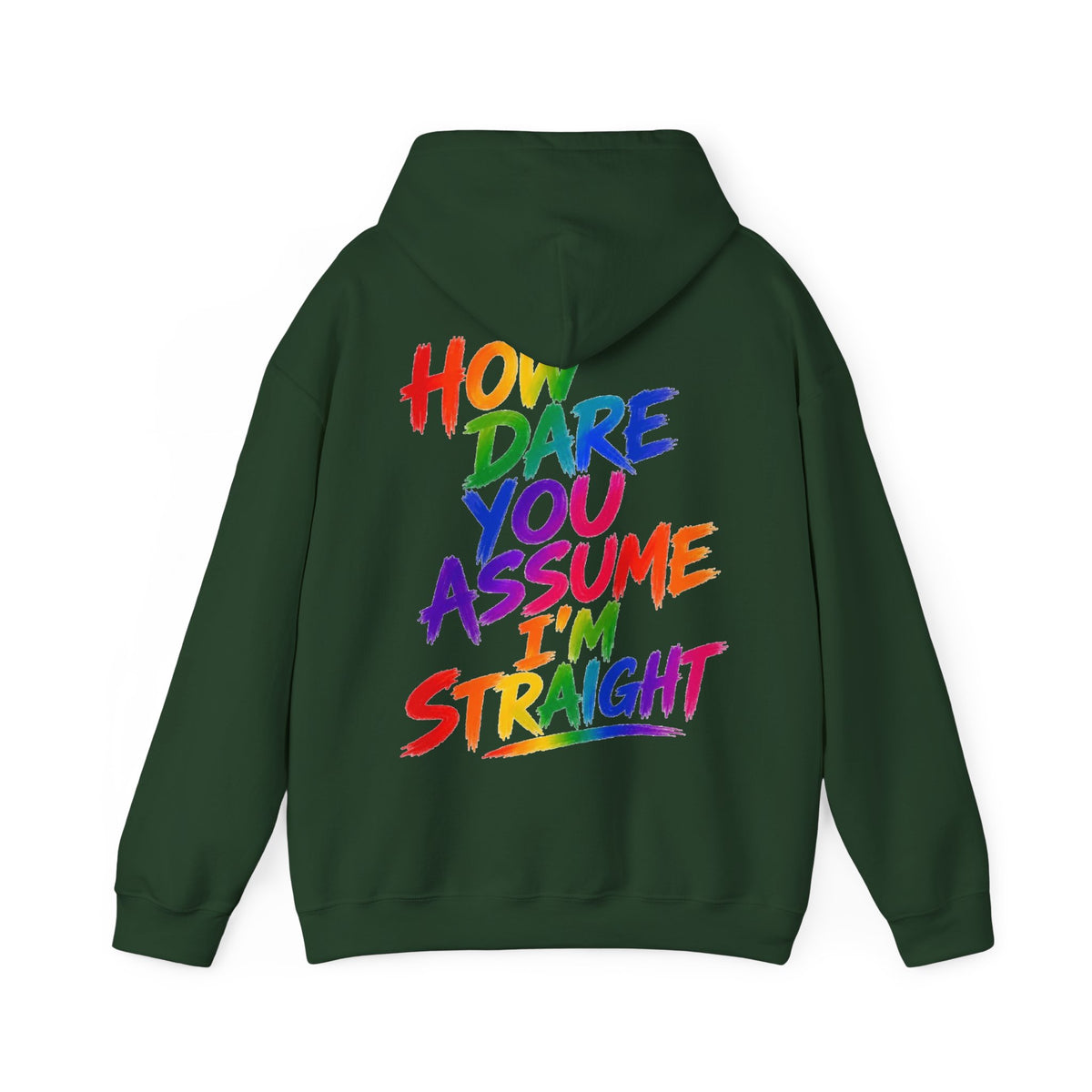 How Dare You Assume I'm Straight Adult Hoodie — Rainbow Pride Statement Sweatshirt