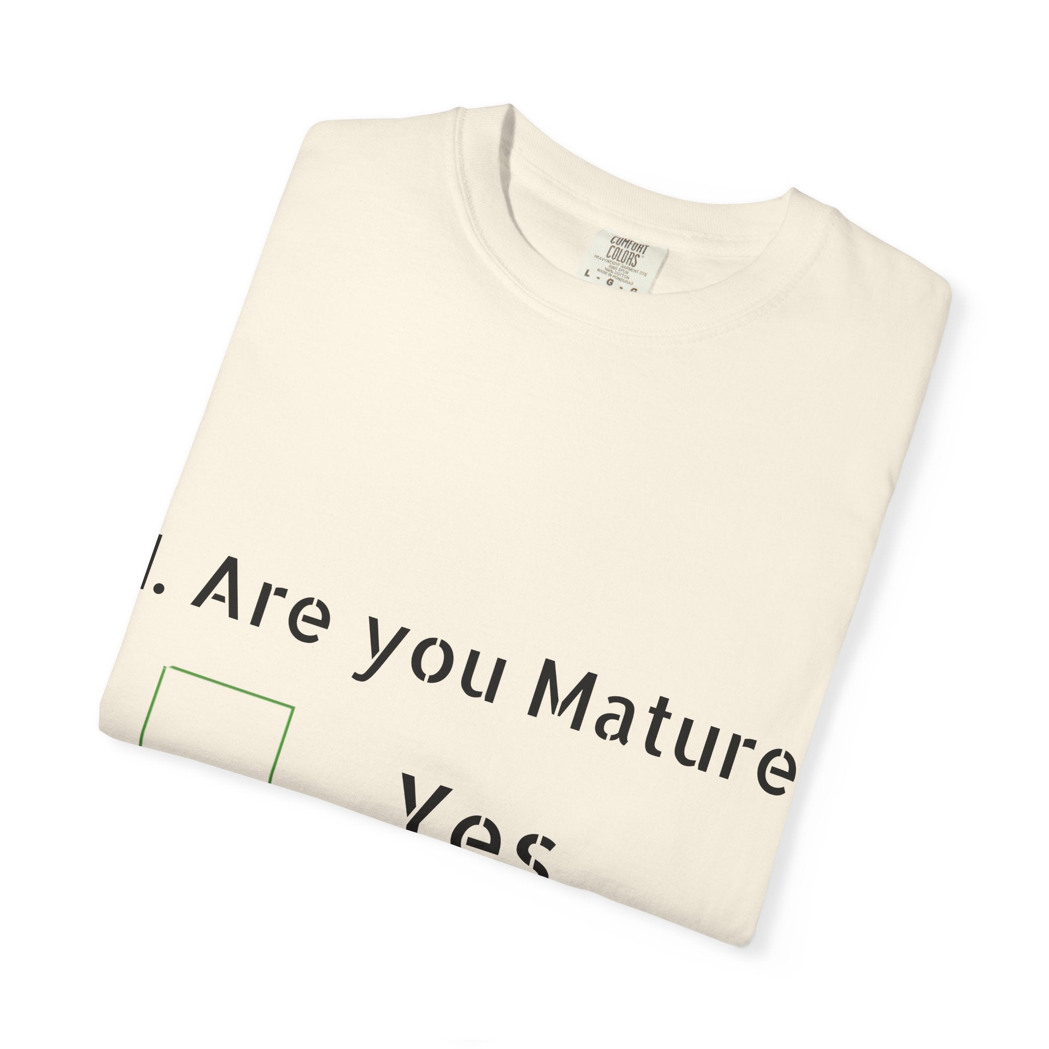 Adult T-Shirt — Funny "Are You Mature?" Checkbox Graphic Tee