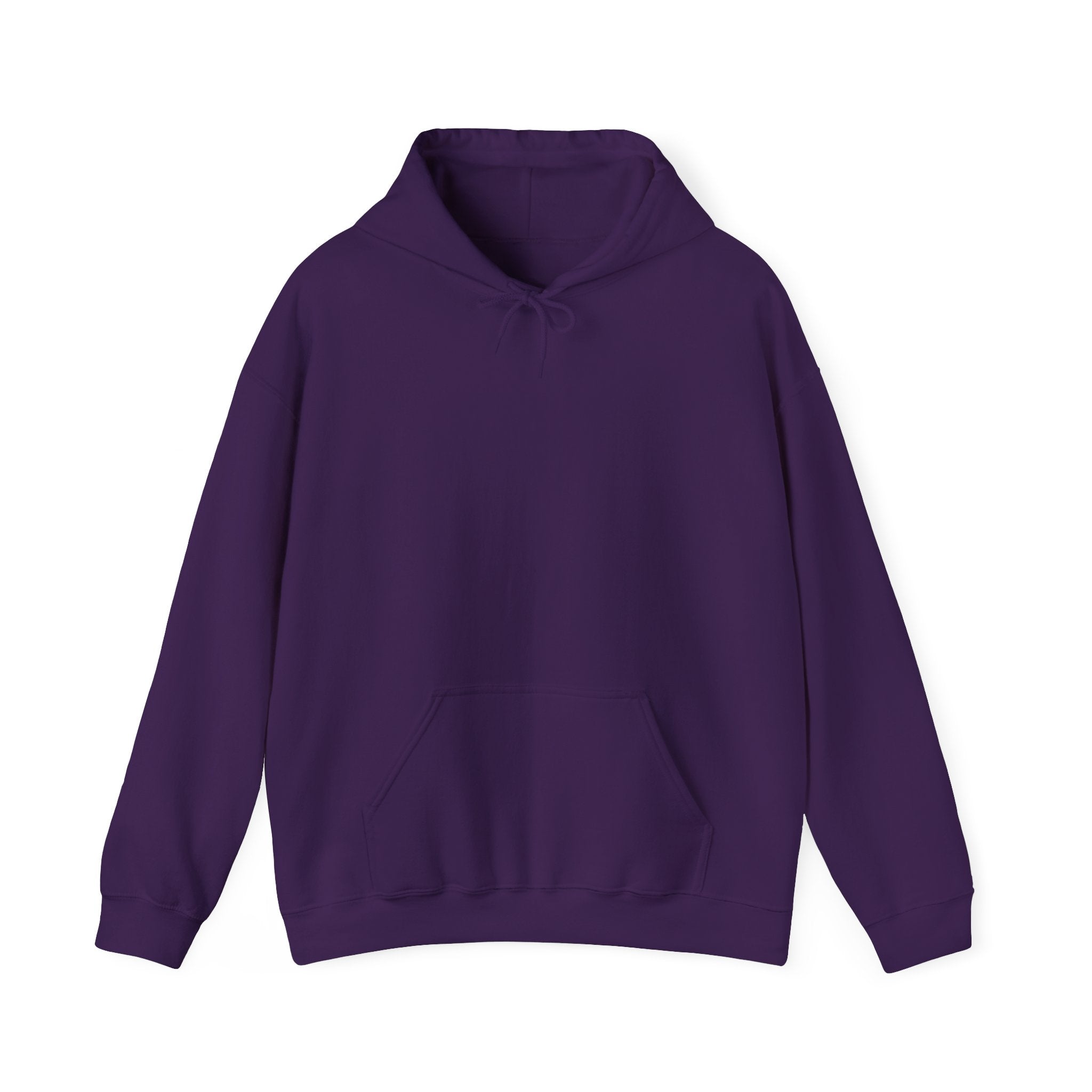 Adult Hoodie — “I Wasn’t Listening” Funny Quote Pullover