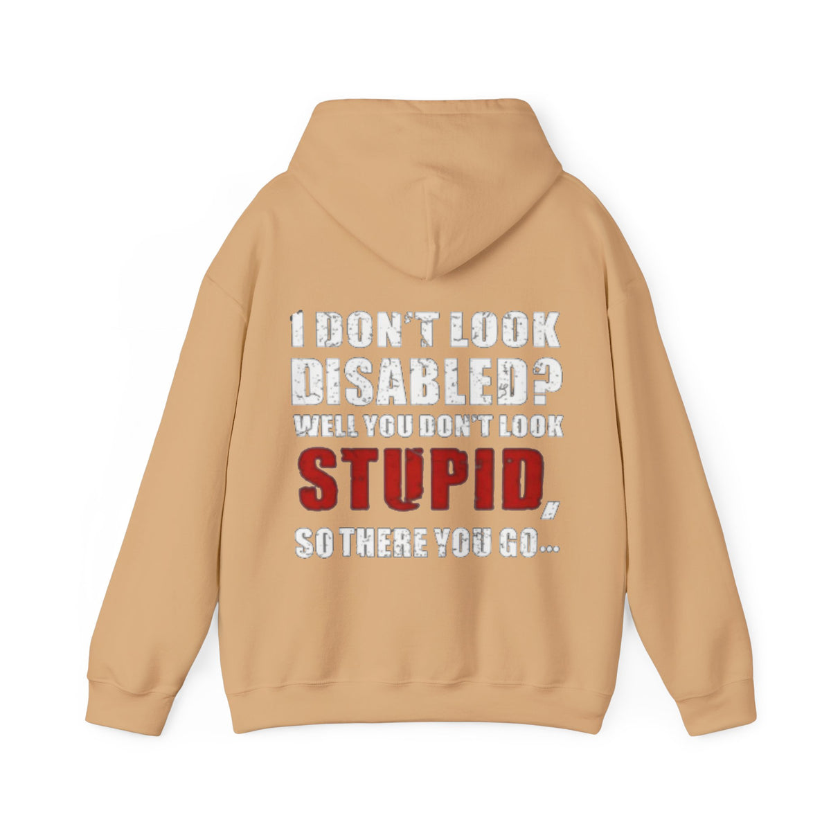 Adult Hoodie — “I Don’t Look Disabled? When You Don’t Look STUPID” Graphic Back Print