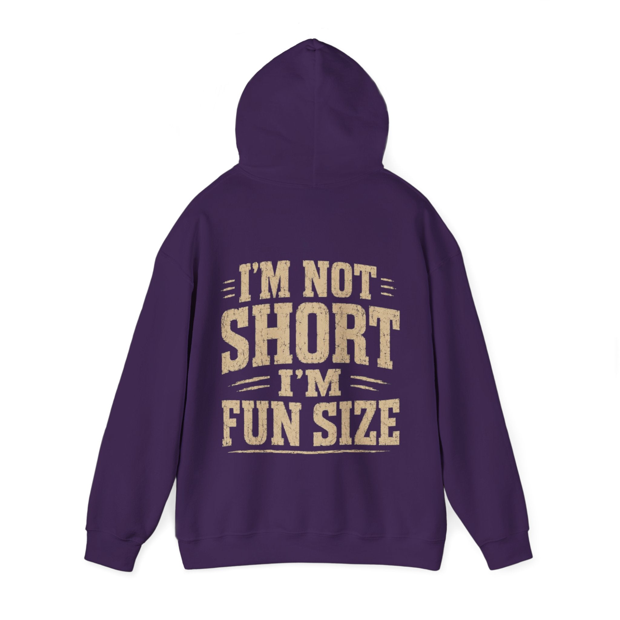 Adult Hoodie — “I’m Not Short I’m Fun Size” Funny Graphic Pullover