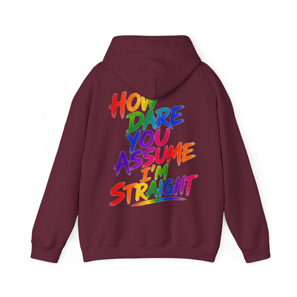 How Dare You Assume I'm Straight Adult Hoodie — Rainbow Pride Statement Sweatshirt