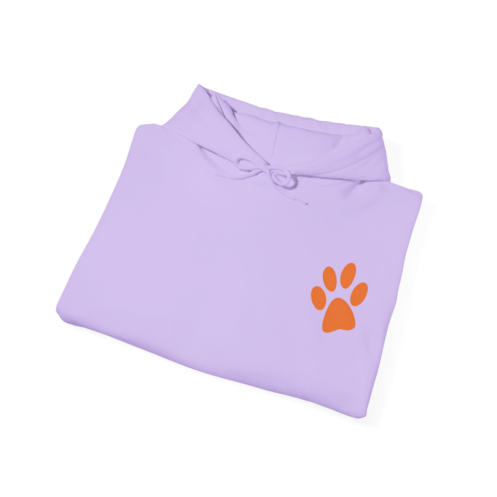 Bad Hair Day Puppy Adult Hoodie | Cute Dog Illustration Sweatshirt