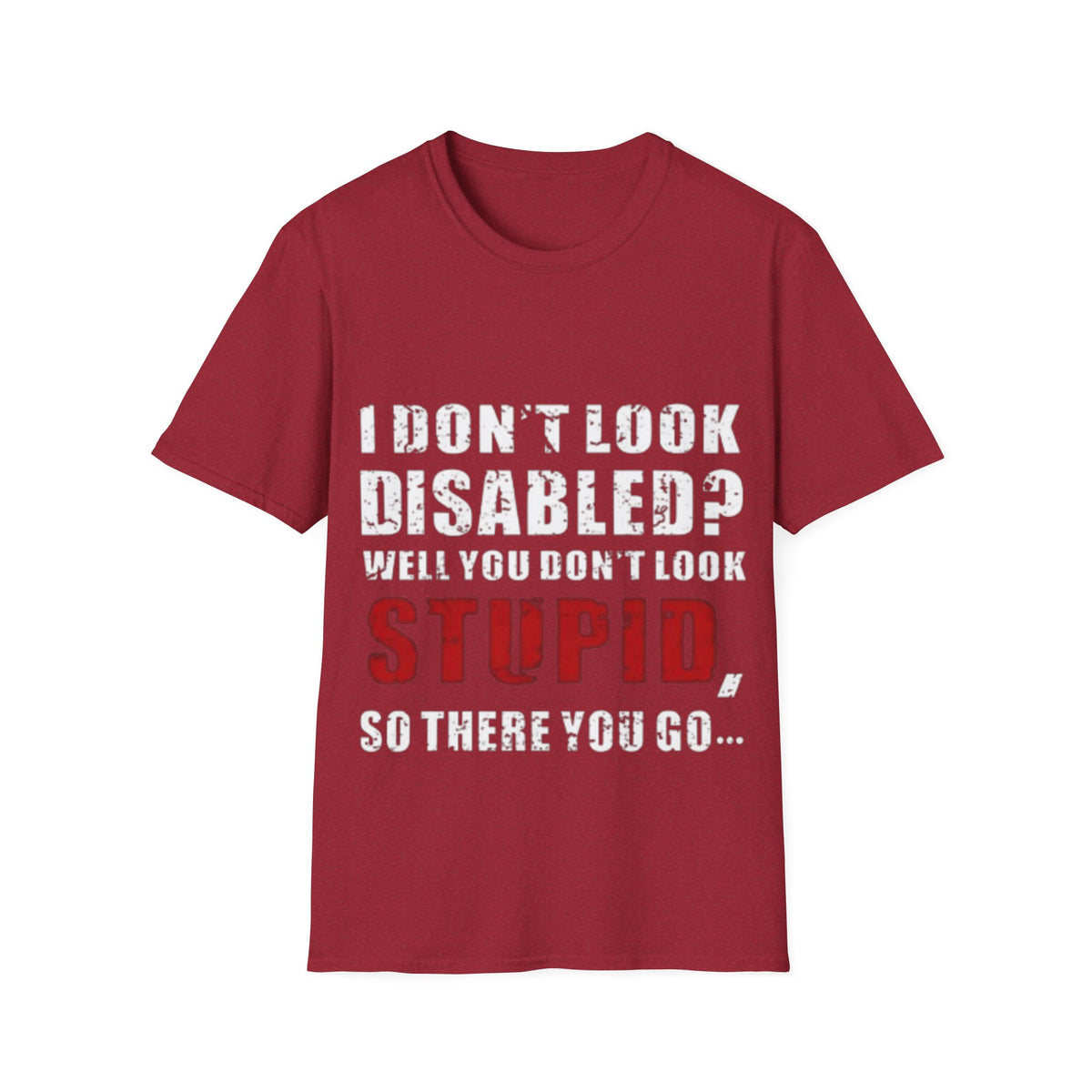 Adult T-Shirt — "Don't Look Disabled? Well You Don't Look Stupid So There You Go" Empowerment Tee