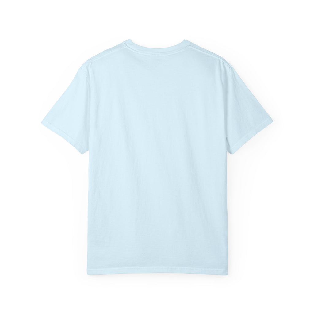 It Seemed A Good Idea At The Time Adult T-Shirt
