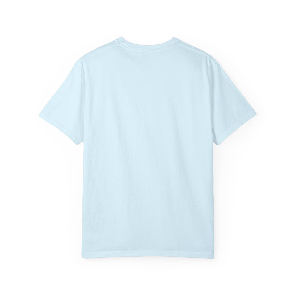 It Seemed A Good Idea At The Time Adult T-Shirt
