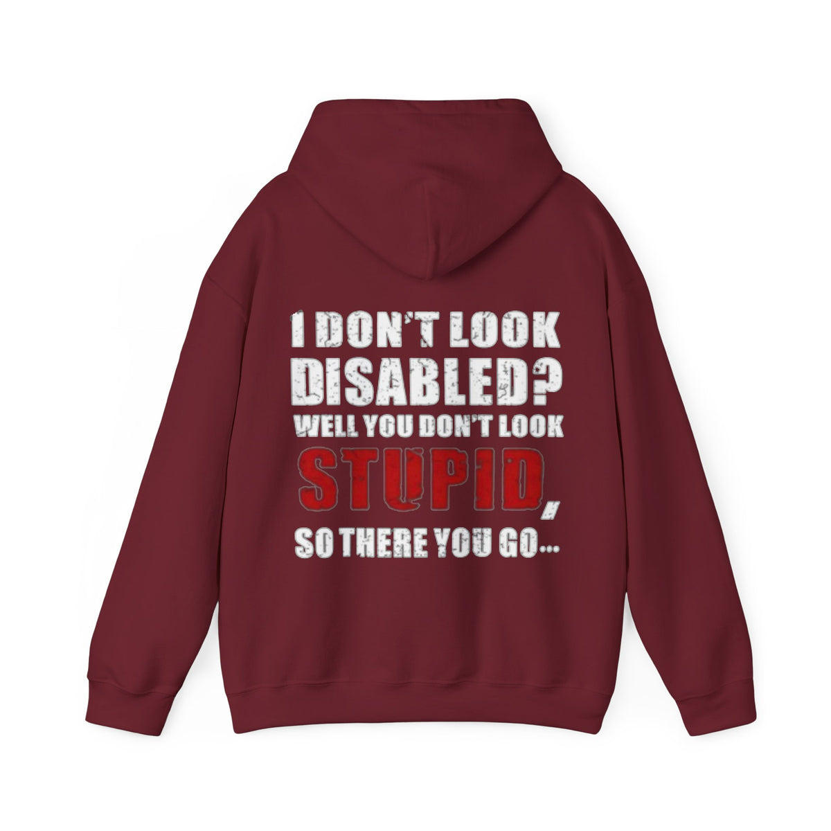 Adult Hoodie — “I Don’t Look Disabled? When You Don’t Look STUPID” Graphic Back Print