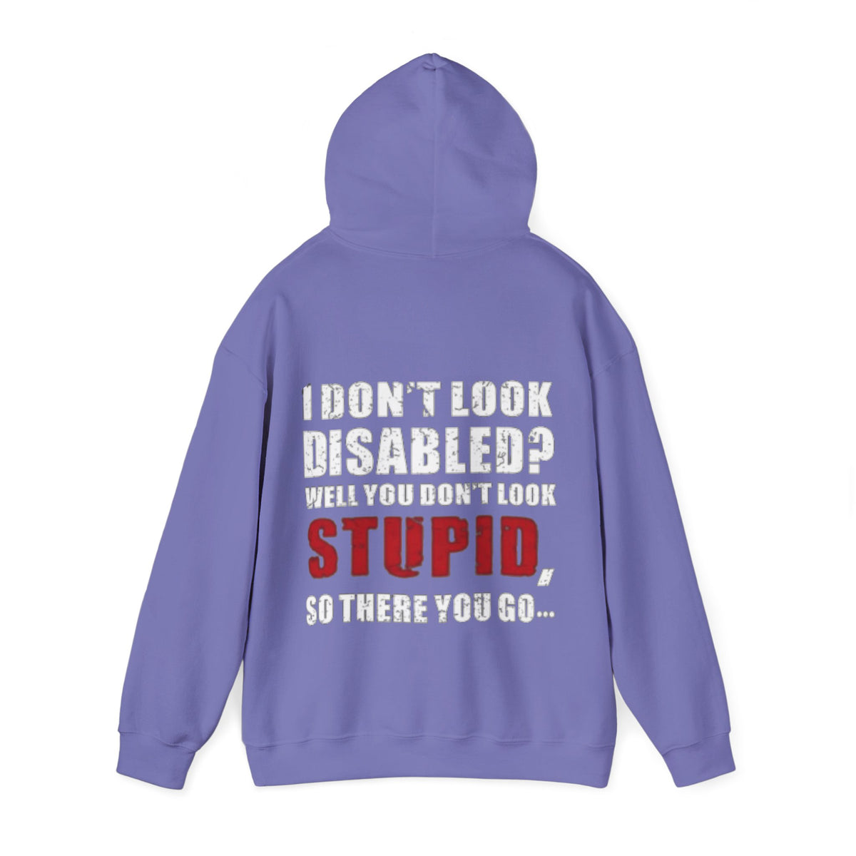 Adult Hoodie — “I Don’t Look Disabled? When You Don’t Look STUPID” Graphic Back Print
