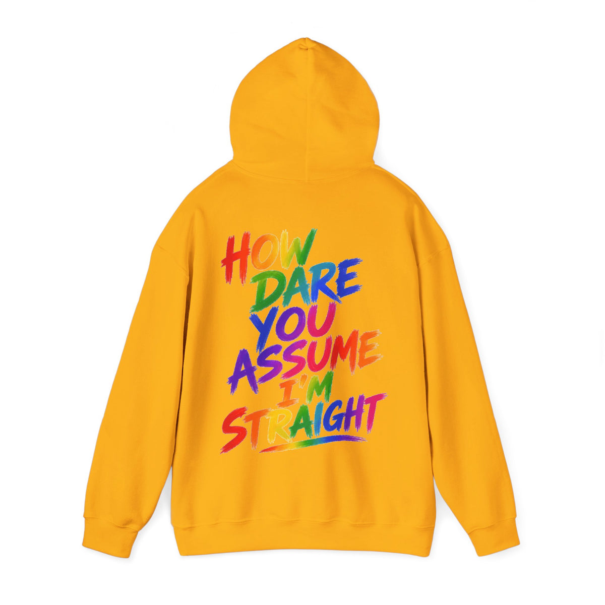 How Dare You Assume I'm Straight Adult Hoodie — Rainbow Pride Statement Sweatshirt