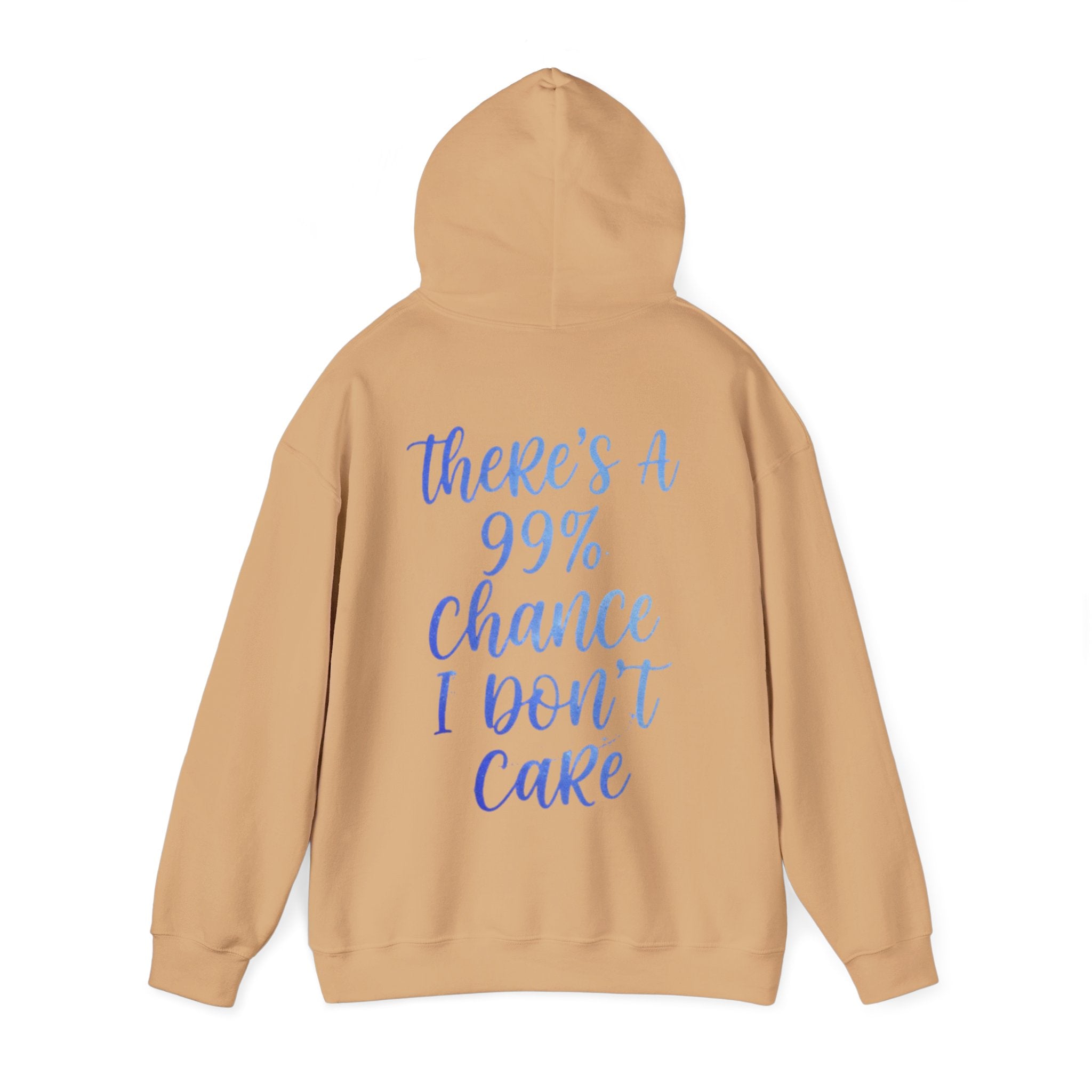 99% Chance I Don’t Care Adult Hoodie — Funny Casual Graphic Hooded Sweatshirt