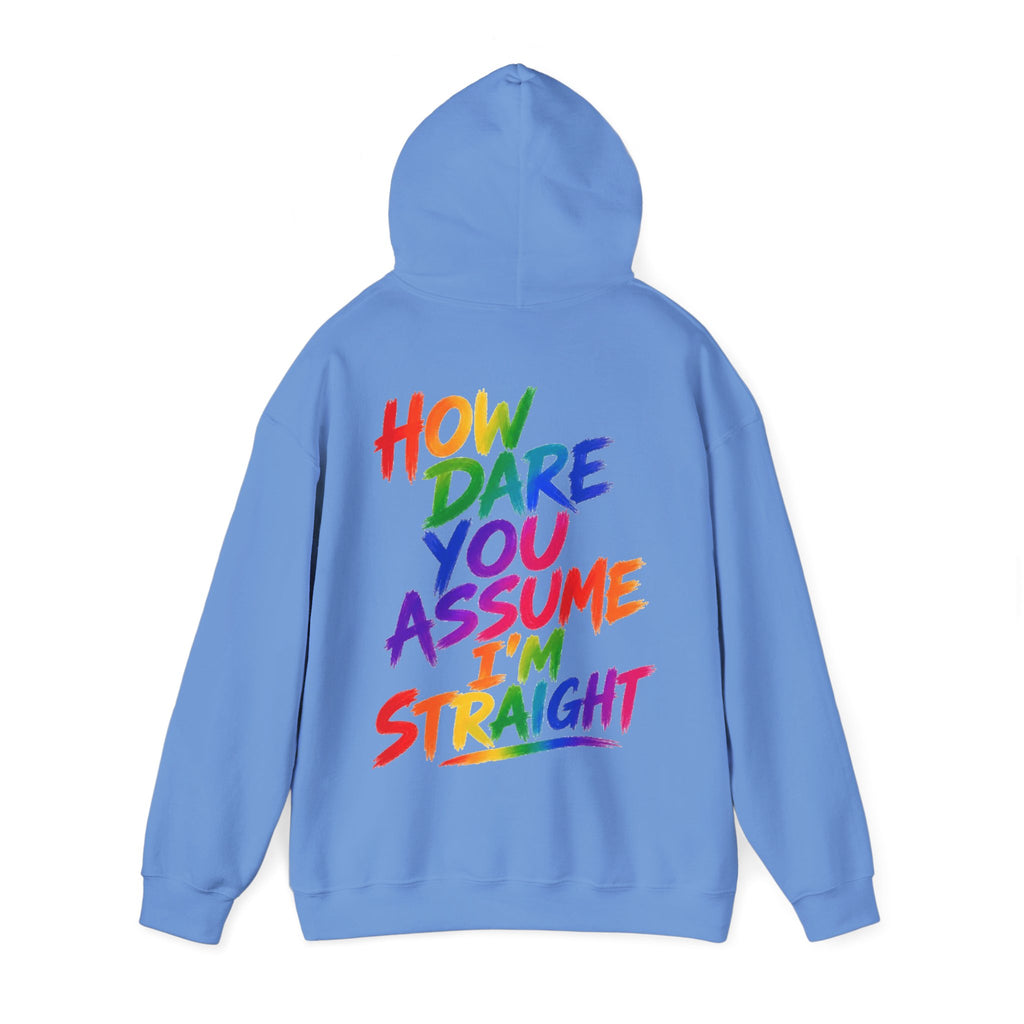How Dare You Assume I'm Straight Adult Hoodie — Rainbow Pride Statement Sweatshirt