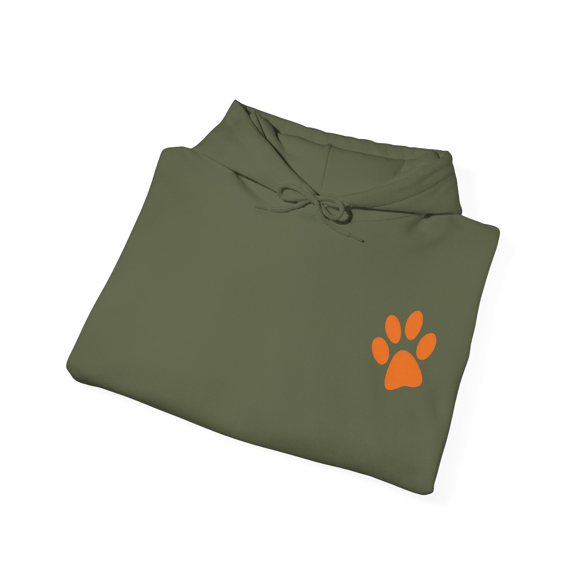 Sleeping Dog Illustration Adult Hoodie | "It's a Dog's Life" Graphic Hoodie