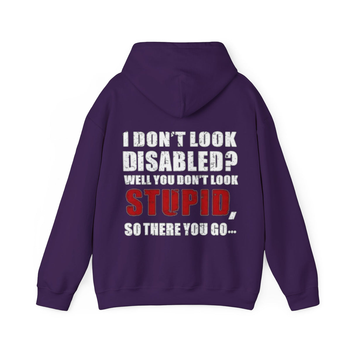 Adult Hoodie — “I Don’t Look Disabled? When You Don’t Look STUPID” Graphic Back Print
