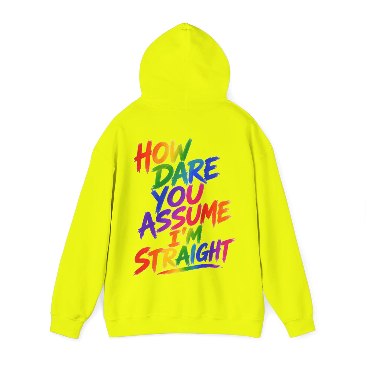 How Dare You Assume I'm Straight Adult Hoodie — Rainbow Pride Statement Sweatshirt