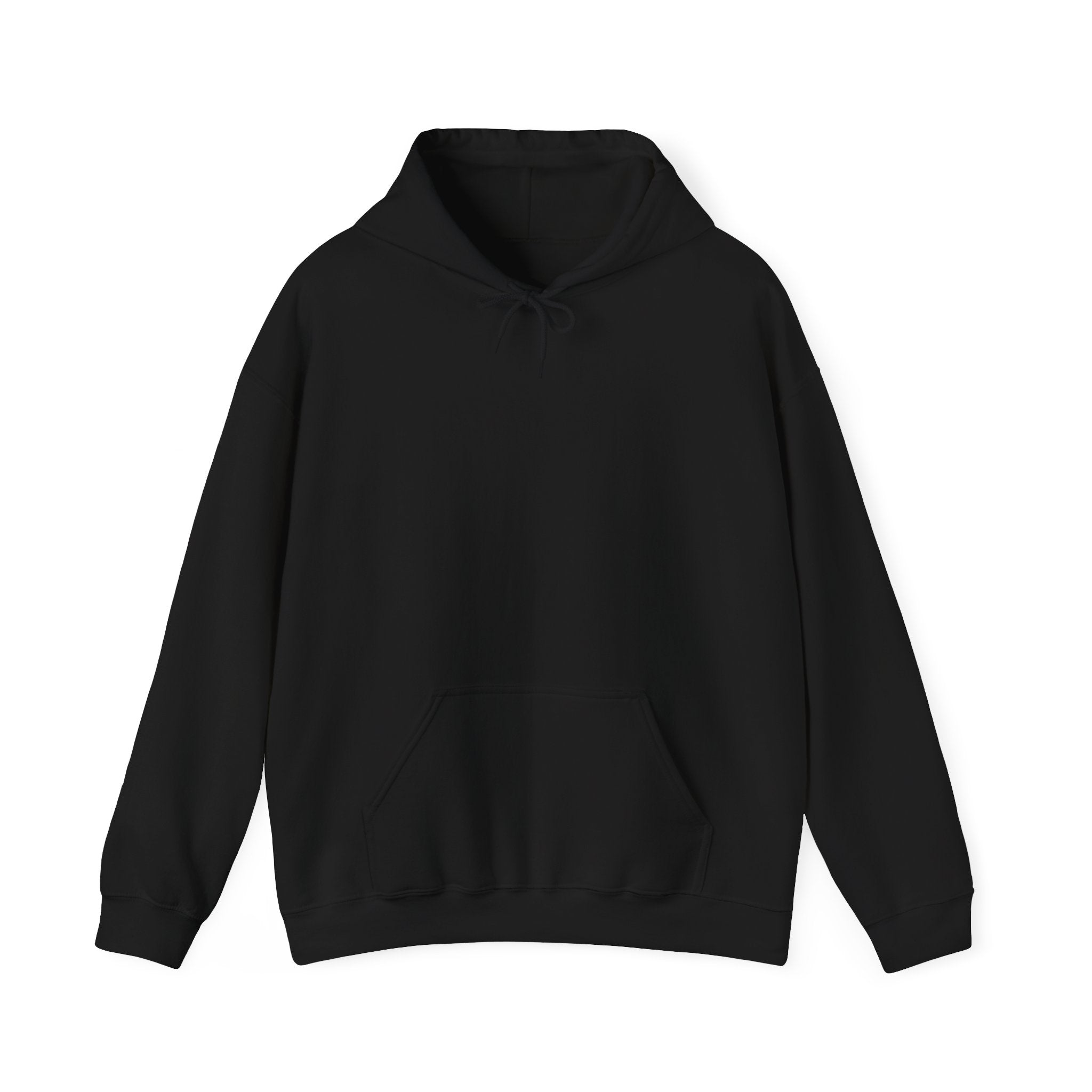 Adult Hoodie — “I Wasn’t Listening” Funny Quote Pullover