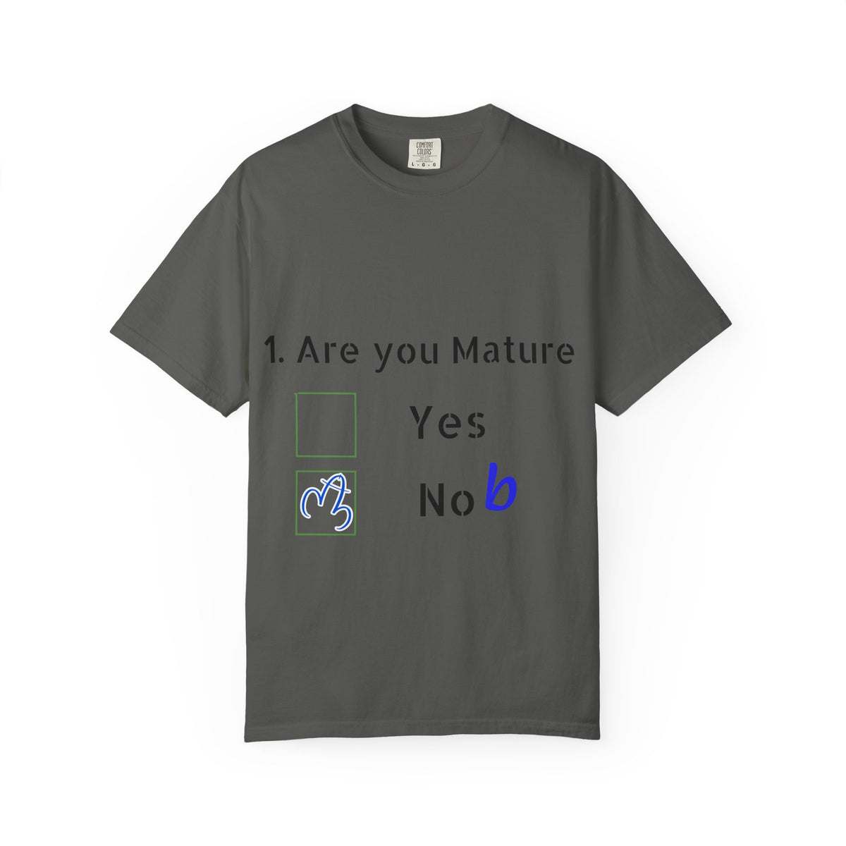 Adult T-Shirt — Funny "Are You Mature?" Checkbox Graphic Tee