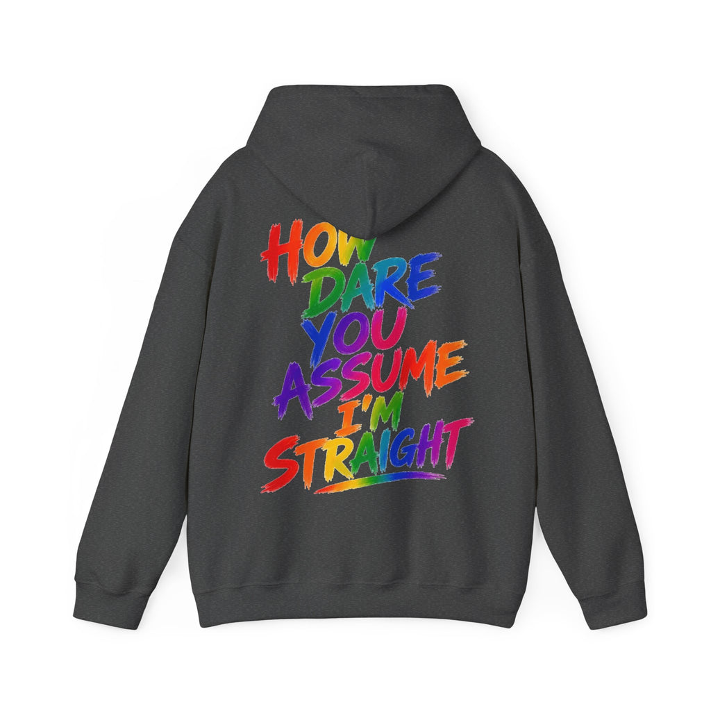 How Dare You Assume I'm Straight Adult Hoodie — Rainbow Pride Statement Sweatshirt