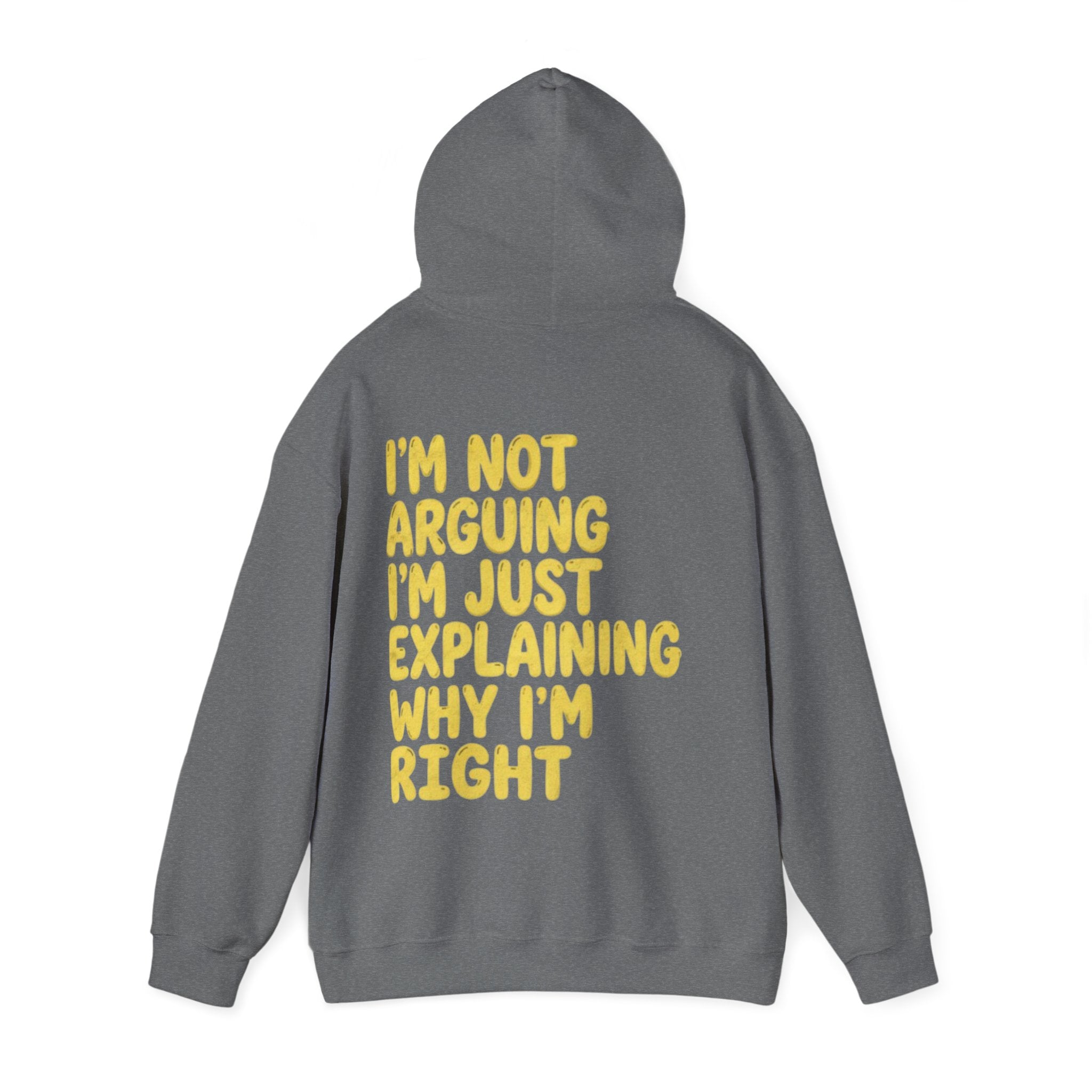 I'm Not Arguing Adult Hoodie — Funny "I'm Just Explaining Why I'm Right" Graphic Hoodie