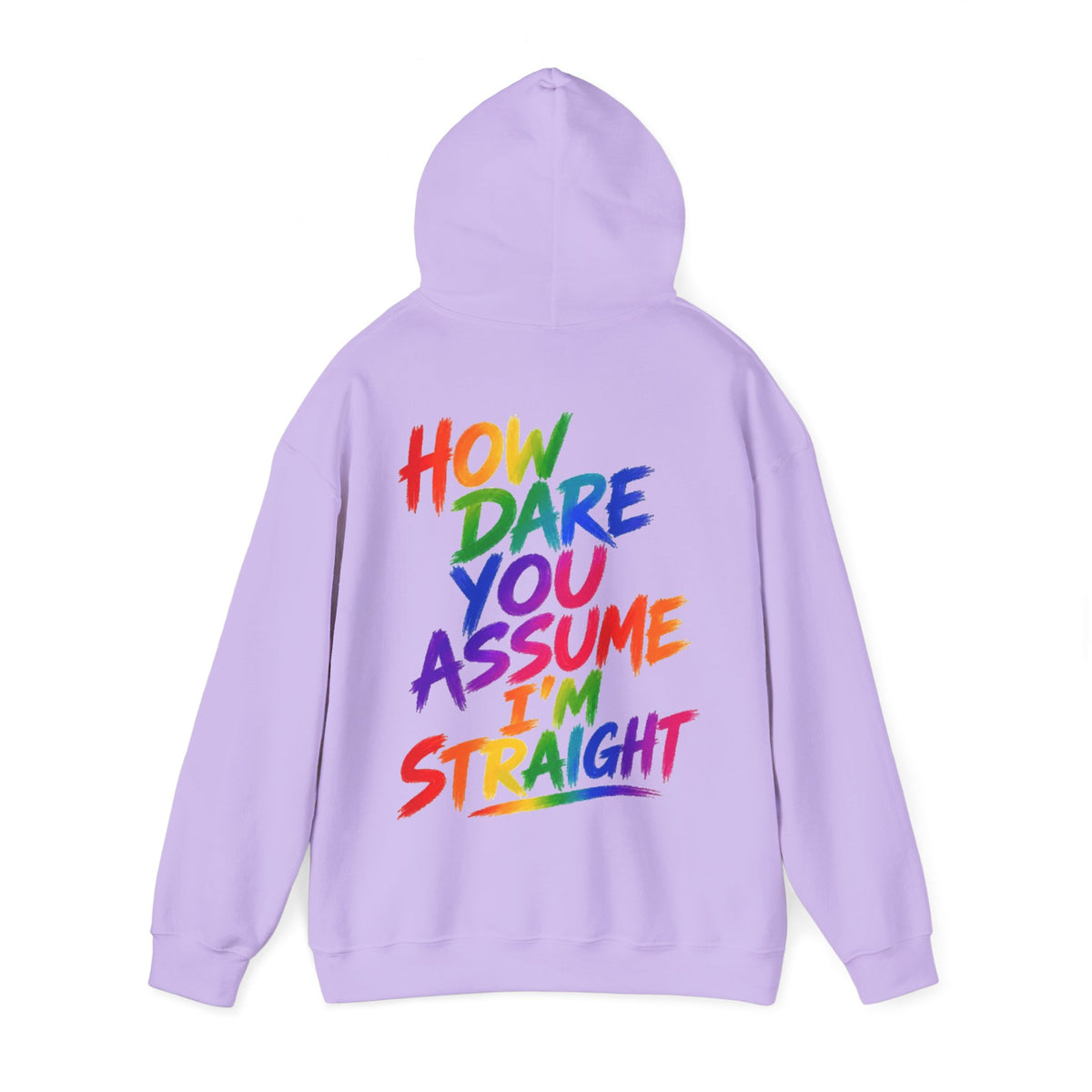 How Dare You Assume I'm Straight Adult Hoodie — Rainbow Pride Statement Sweatshirt