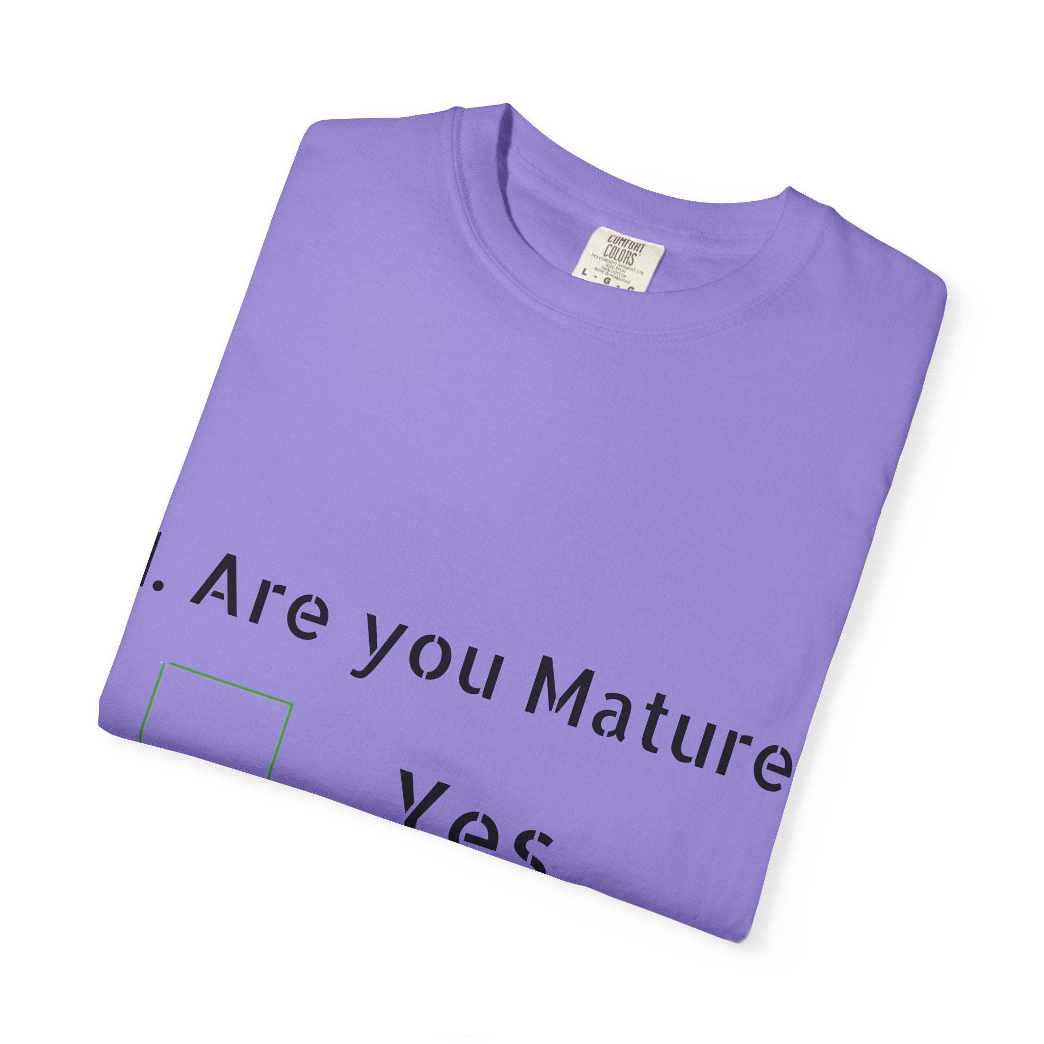 Adult T-Shirt — Funny "Are You Mature?" Checkbox Graphic Tee