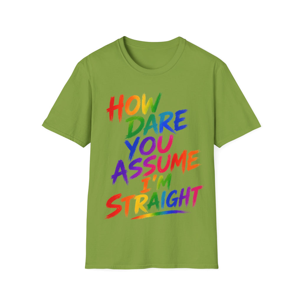 How Dare You Assume I’m Straight Adult T-Shirt — Rainbow Pride Graphic Tee