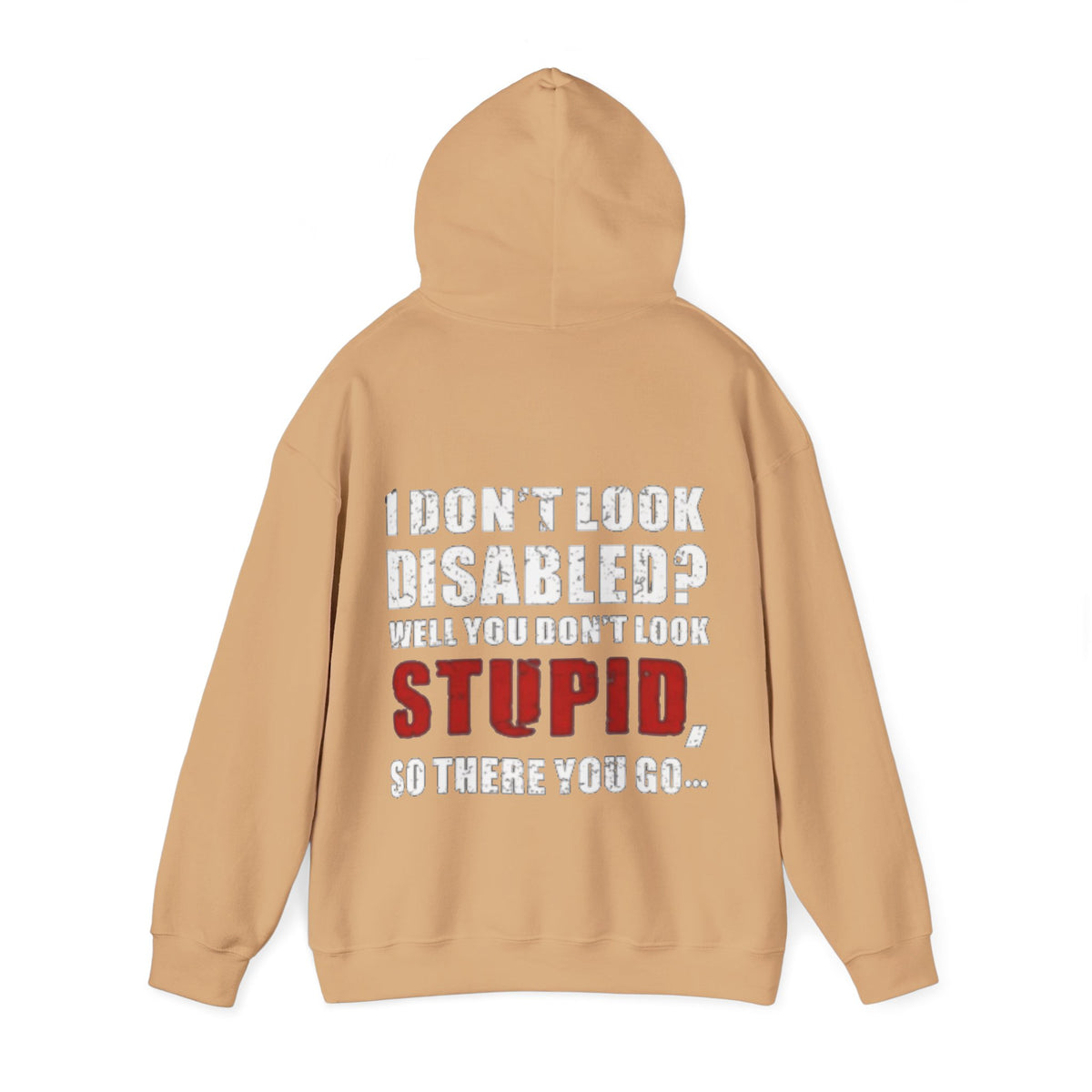 Adult Hoodie — “I Don’t Look Disabled? When You Don’t Look STUPID” Graphic Back Print