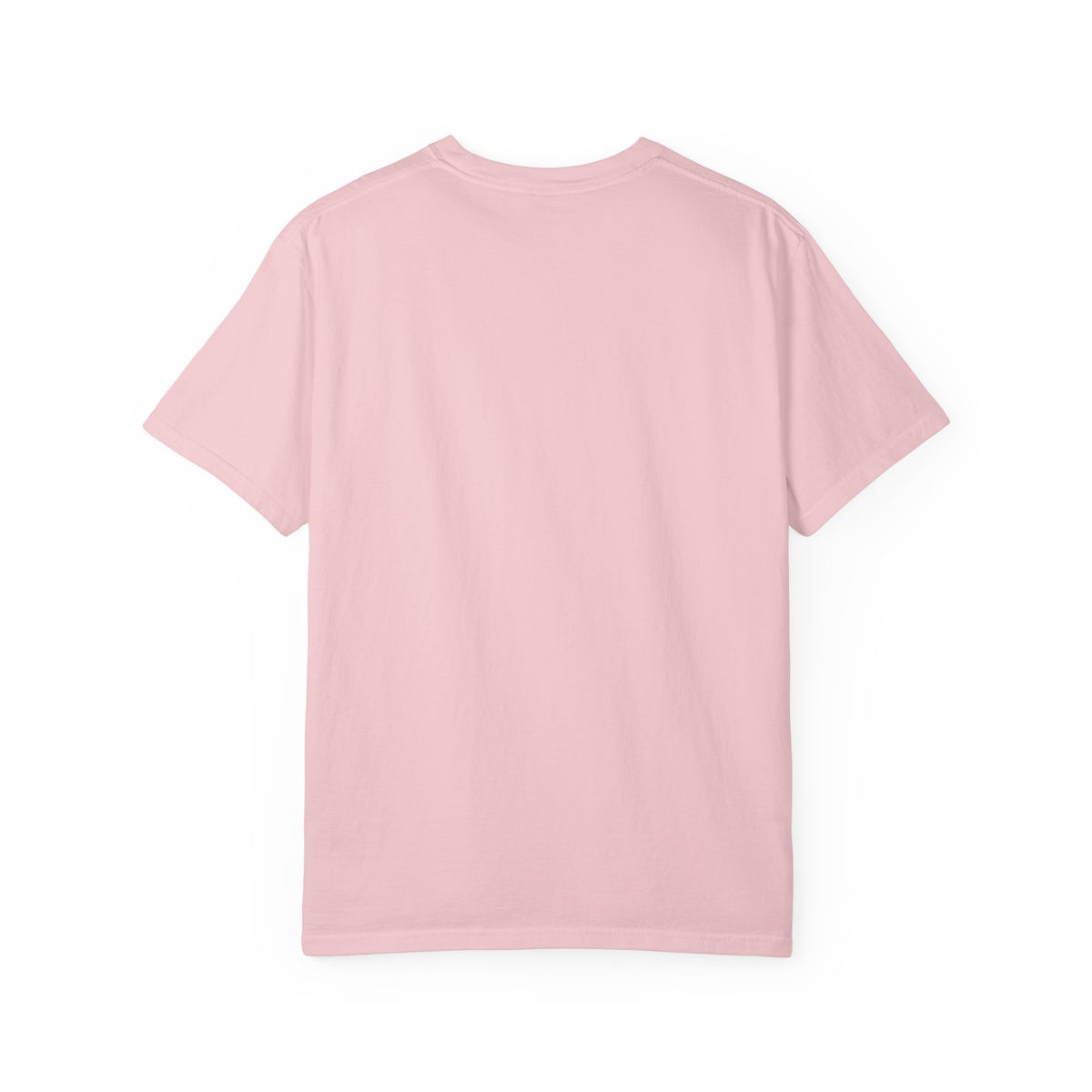 Provocative Graphic Adult T-Shirt - "This Is My Only T-Shirt Without CUM On It"