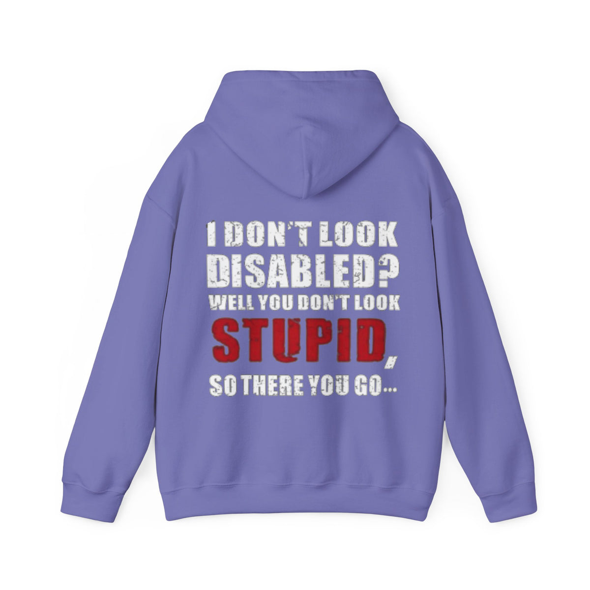 Adult Hoodie — “I Don’t Look Disabled? When You Don’t Look STUPID” Graphic Back Print