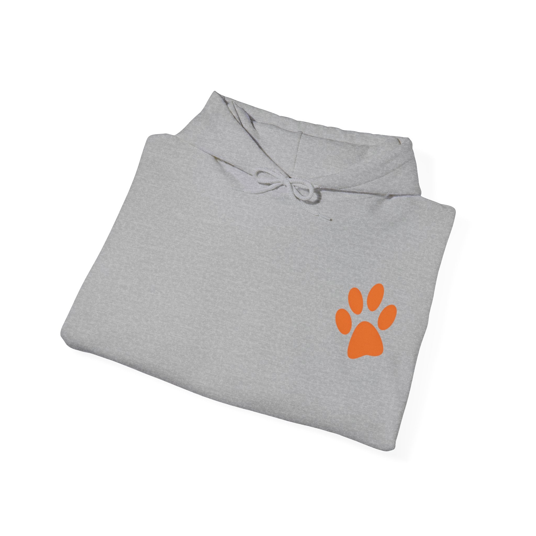Bad Hair Day Puppy Adult Hoodie | Cute Dog Illustration Sweatshirt