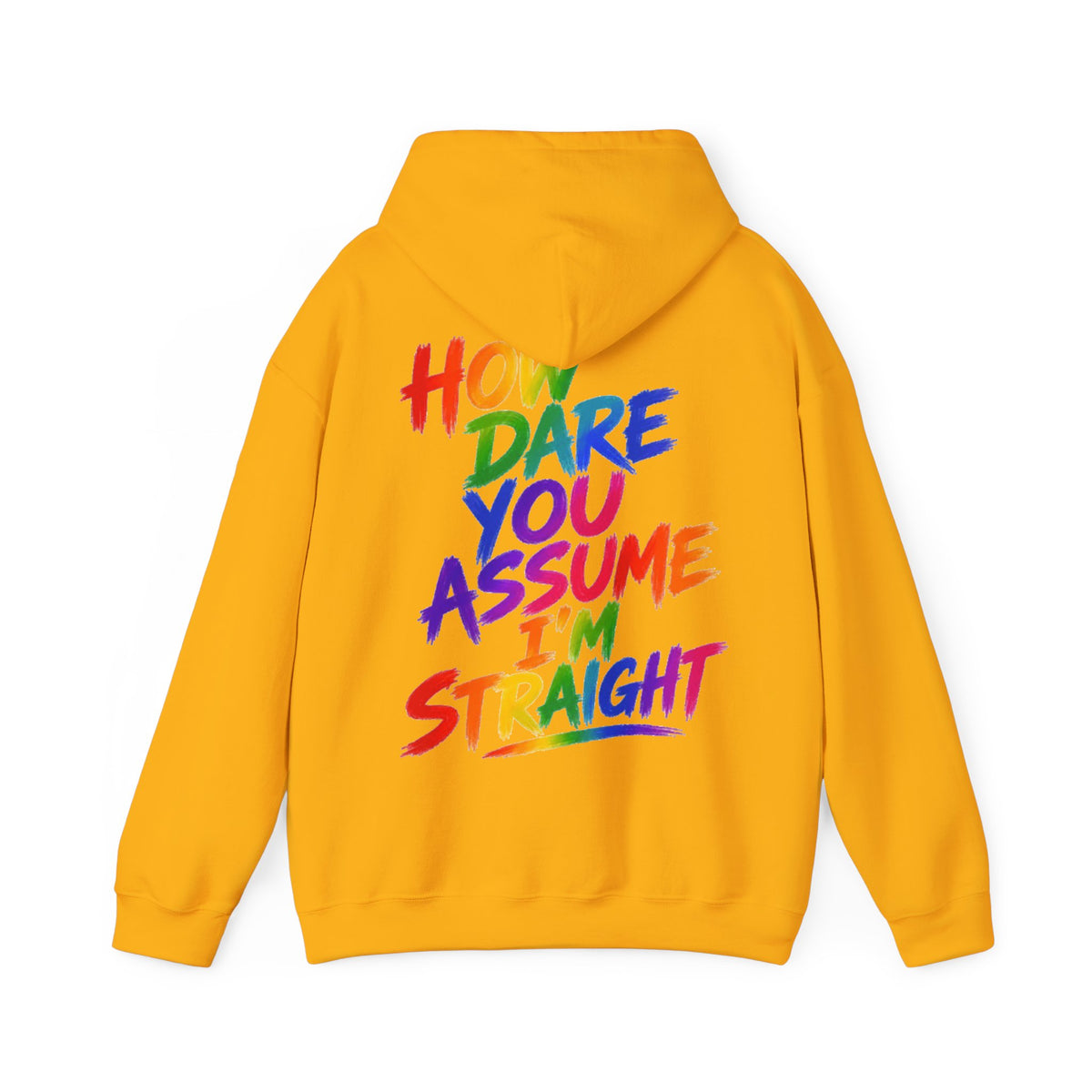 How Dare You Assume I'm Straight Adult Hoodie — Rainbow Pride Statement Sweatshirt