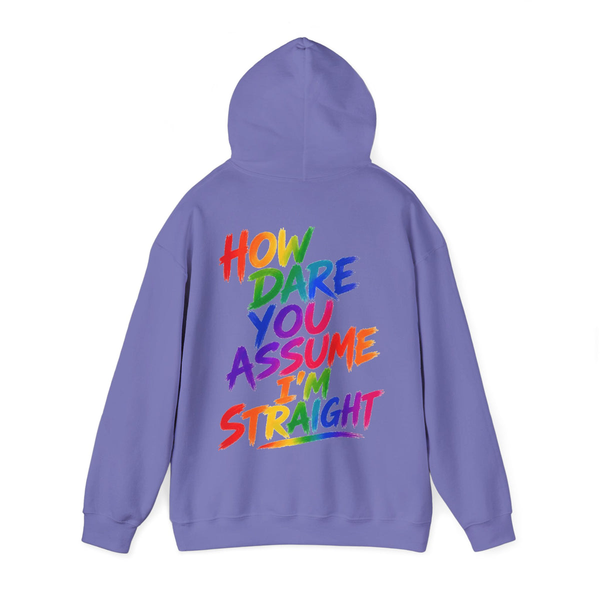 How Dare You Assume I'm Straight Adult Hoodie — Rainbow Pride Statement Sweatshirt