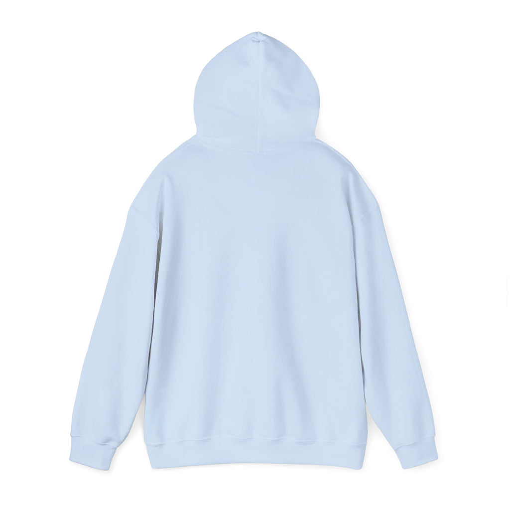 Adult Hoodie - "Don't Drink and Drive" Awareness Pullover