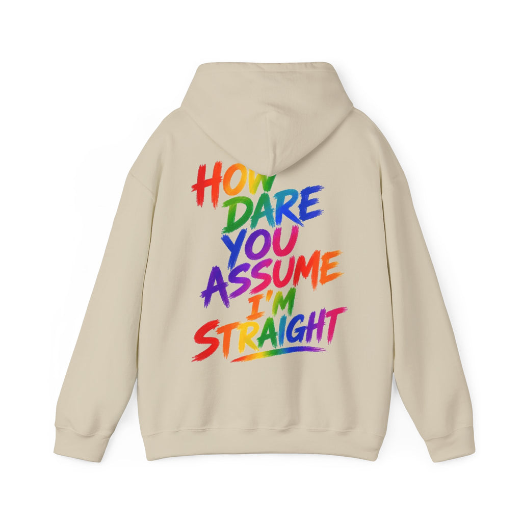 How Dare You Assume I'm Straight Adult Hoodie — Rainbow Pride Statement Sweatshirt