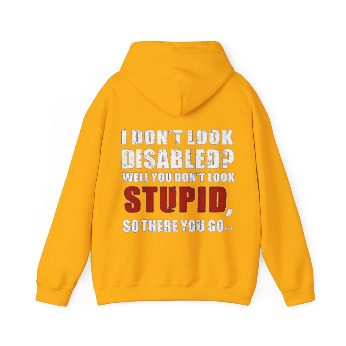 Adult Hoodie — “I Don’t Look Disabled? When You Don’t Look STUPID” Graphic Back Print