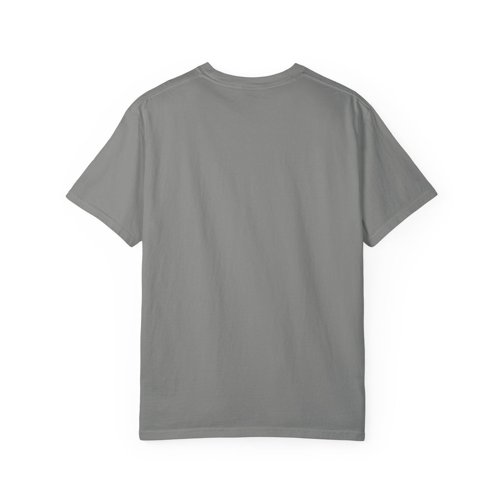 It Seemed A Good Idea At The Time Adult T-Shirt