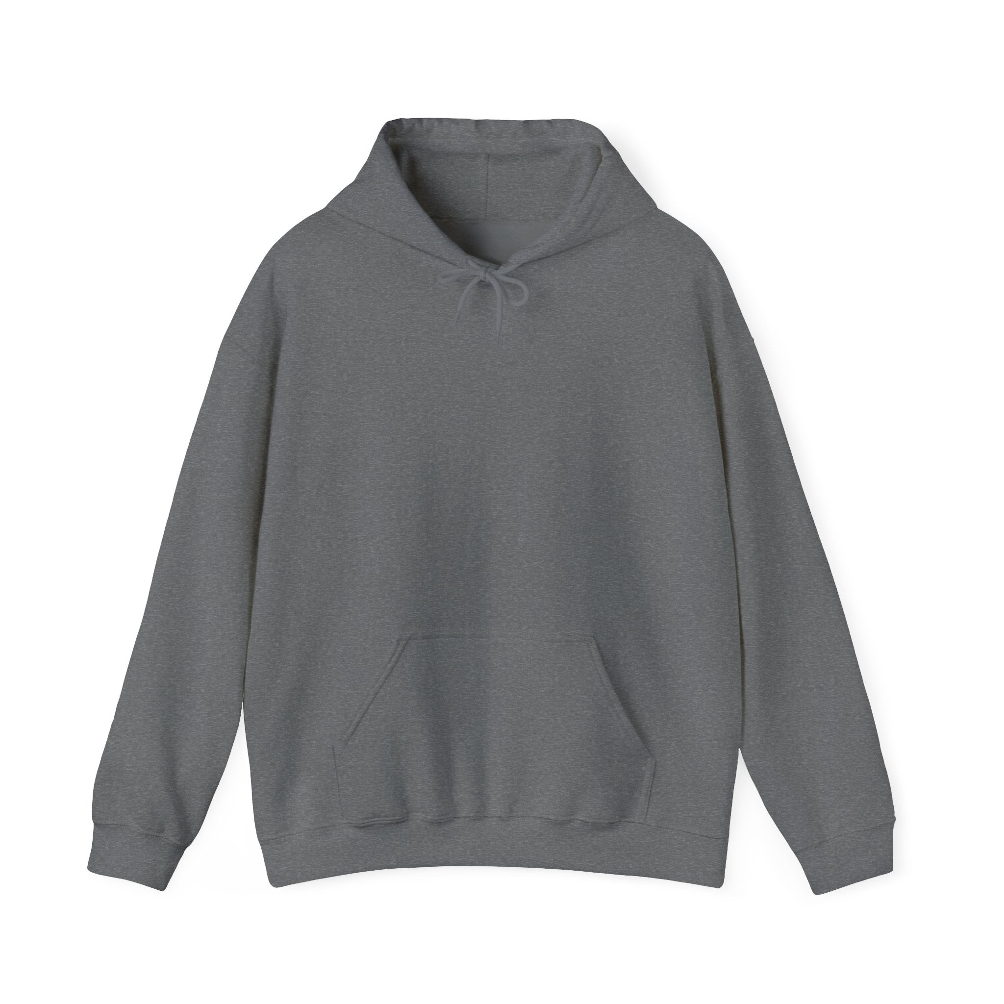 Retro Pixel Dino Adult Hoodie - "The Internet Is Broken So I’m Outside Today"