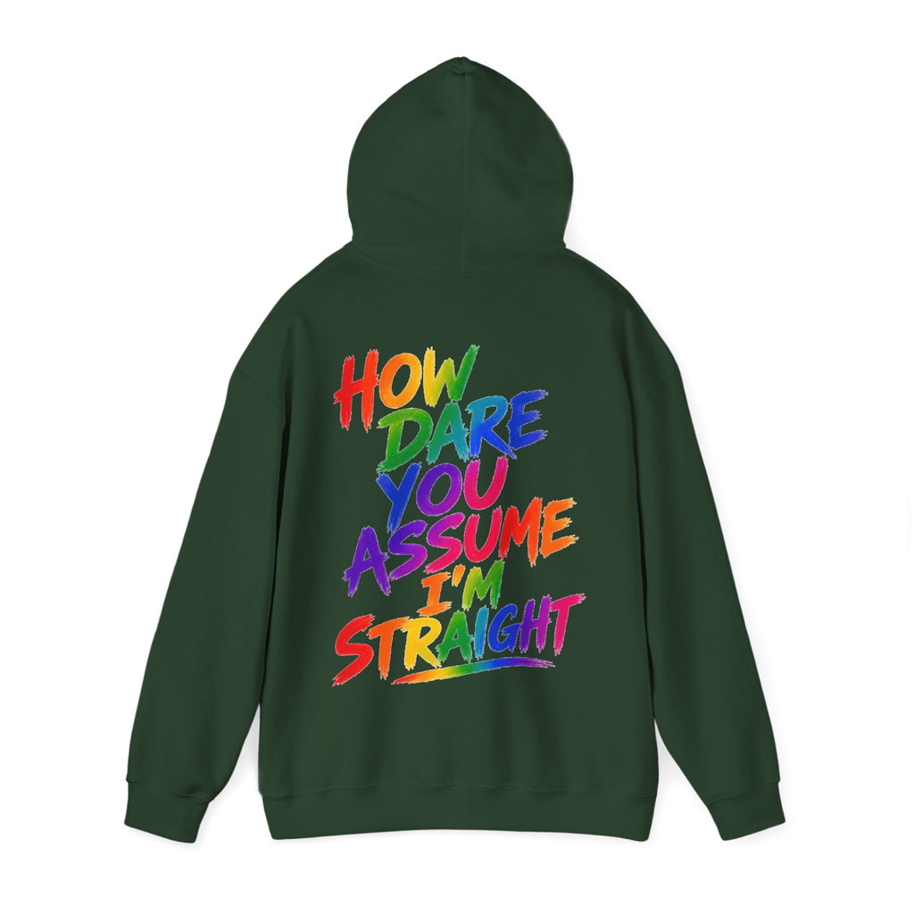 How Dare You Assume I'm Straight Adult Hoodie — Rainbow Pride Statement Sweatshirt