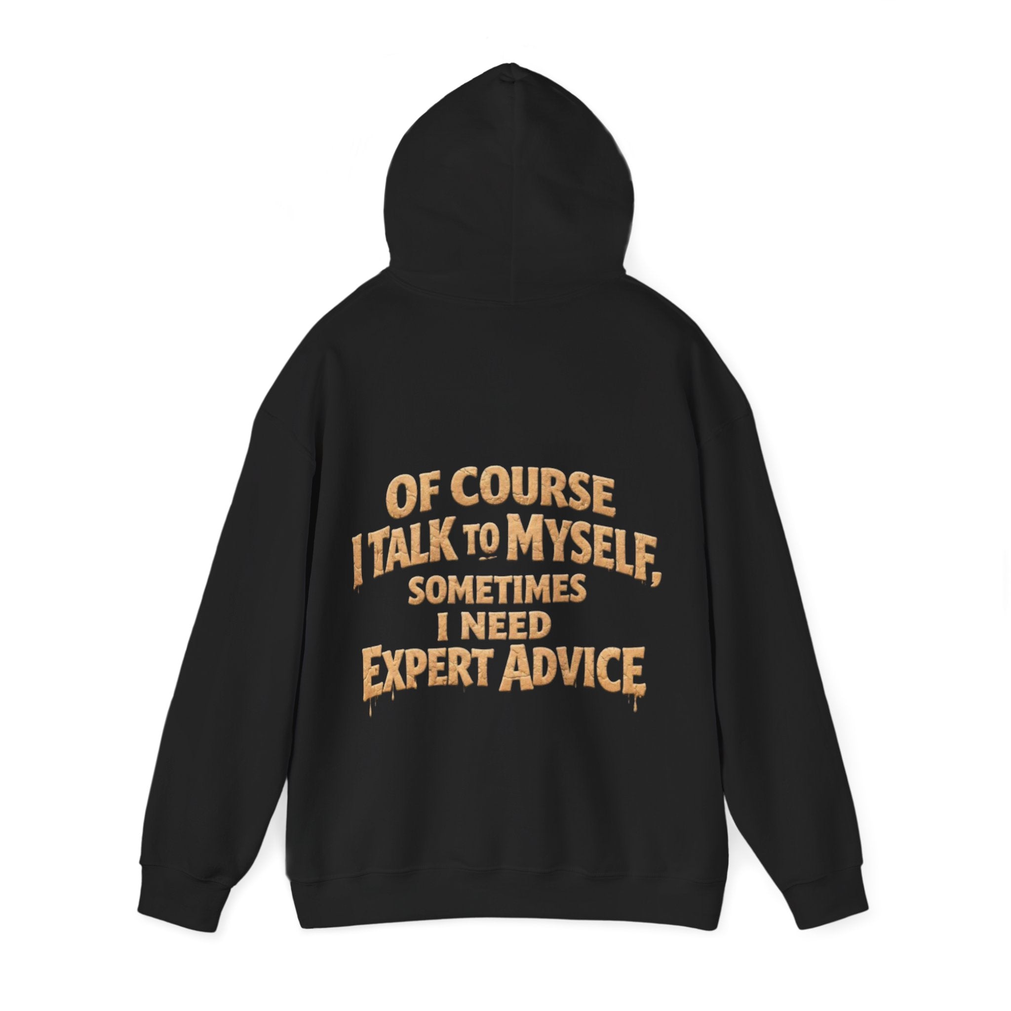 Funny "I Talk to Myself" Adult Hoodie — Expert Advice Graphic Sweatshirt
