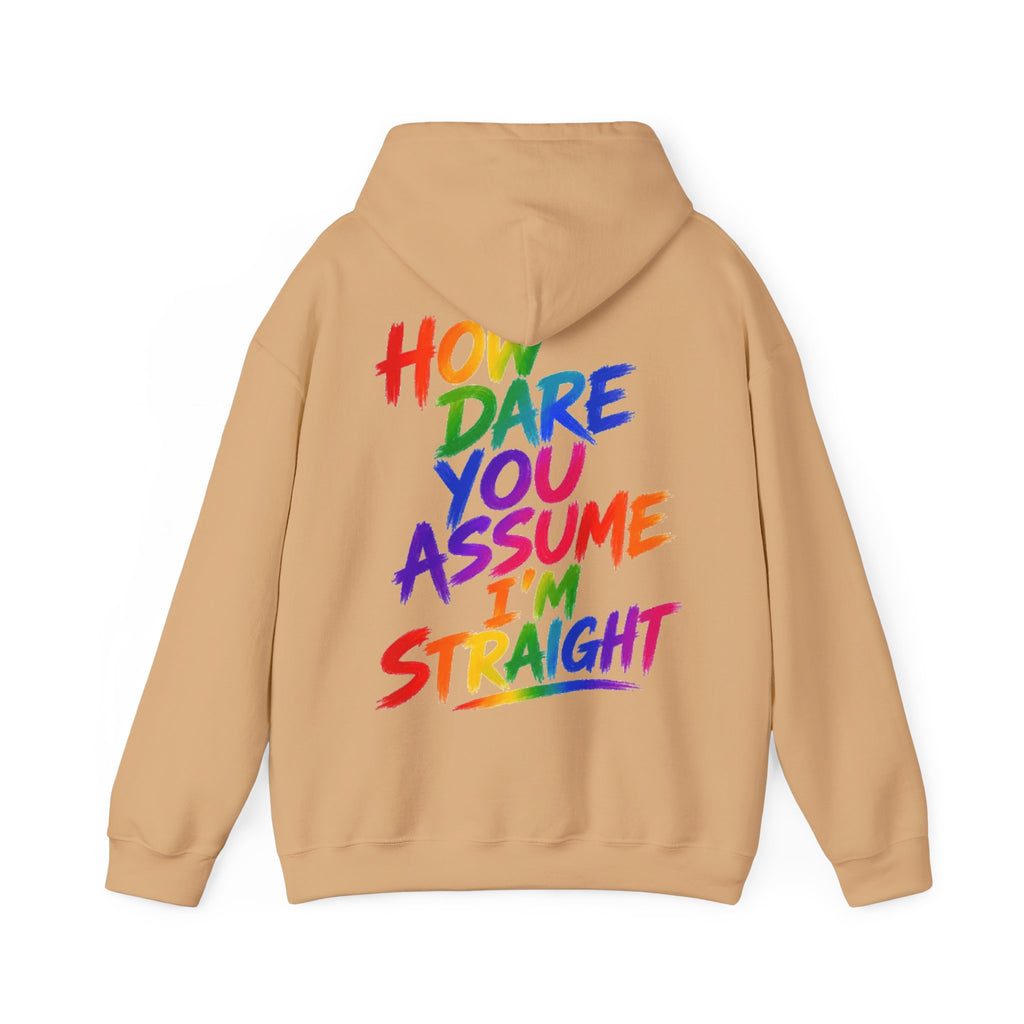How Dare You Assume I'm Straight Adult Hoodie — Rainbow Pride Statement Sweatshirt