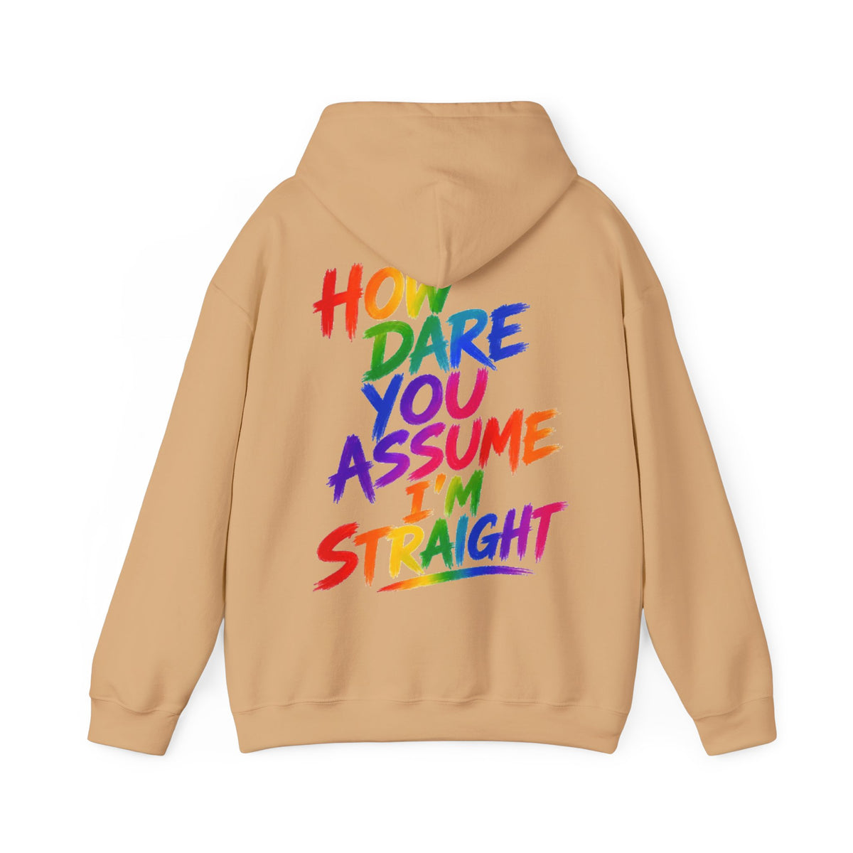 How Dare You Assume I'm Straight Adult Hoodie — Rainbow Pride Statement Sweatshirt