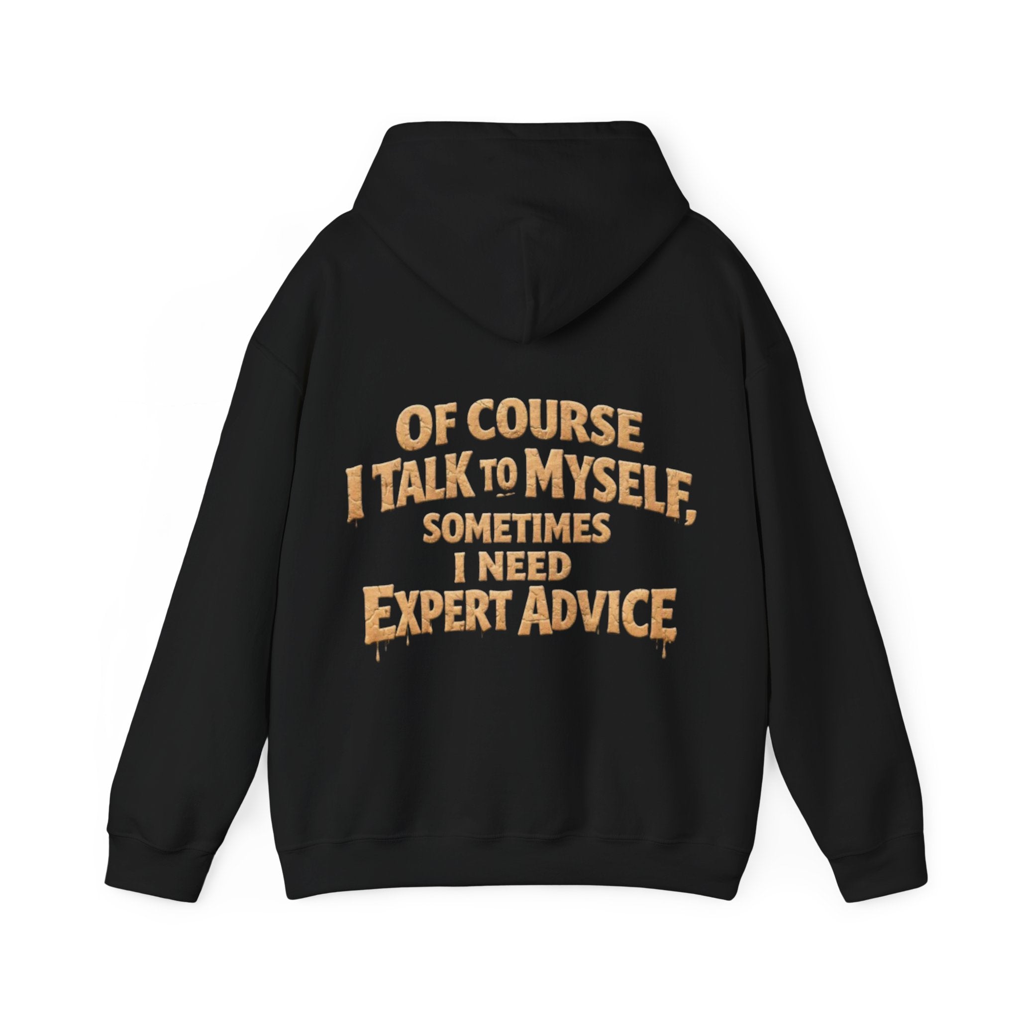 Funny "I Talk to Myself" Adult Hoodie — Expert Advice Graphic Sweatshirt