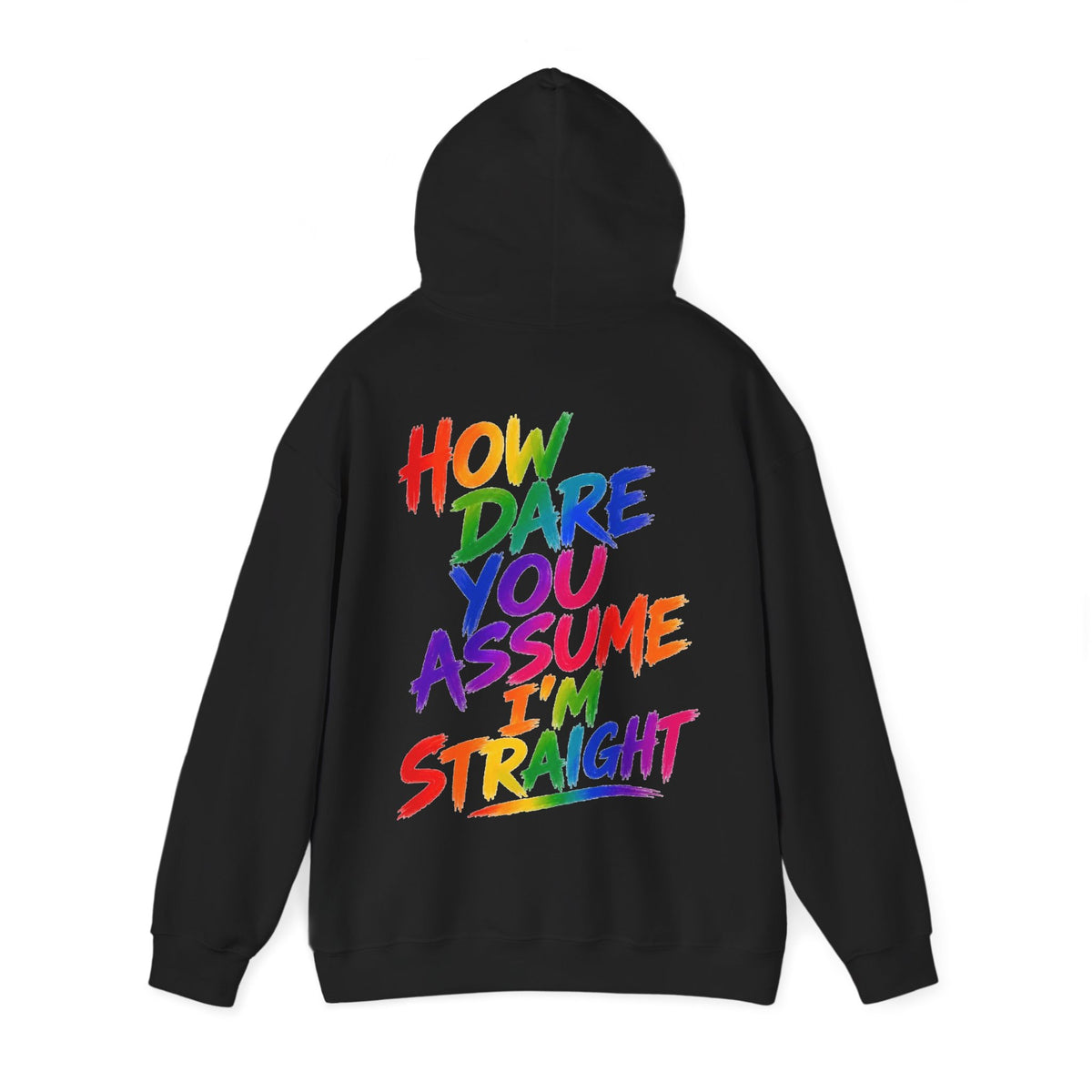 How Dare You Assume I'm Straight Adult Hoodie — Rainbow Pride Statement Sweatshirt